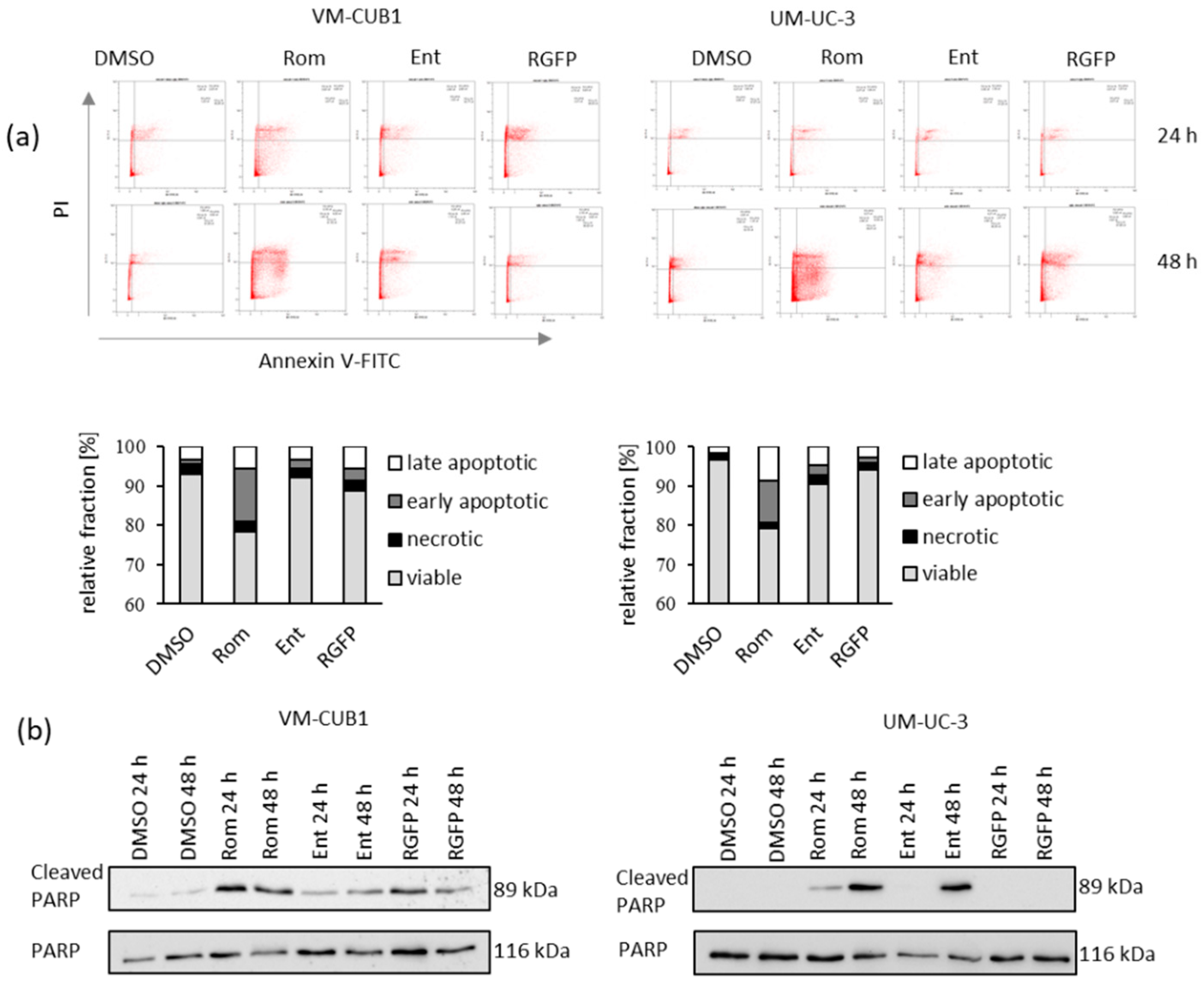 Genes 12 00260 g003 Genes 12 00260 g003