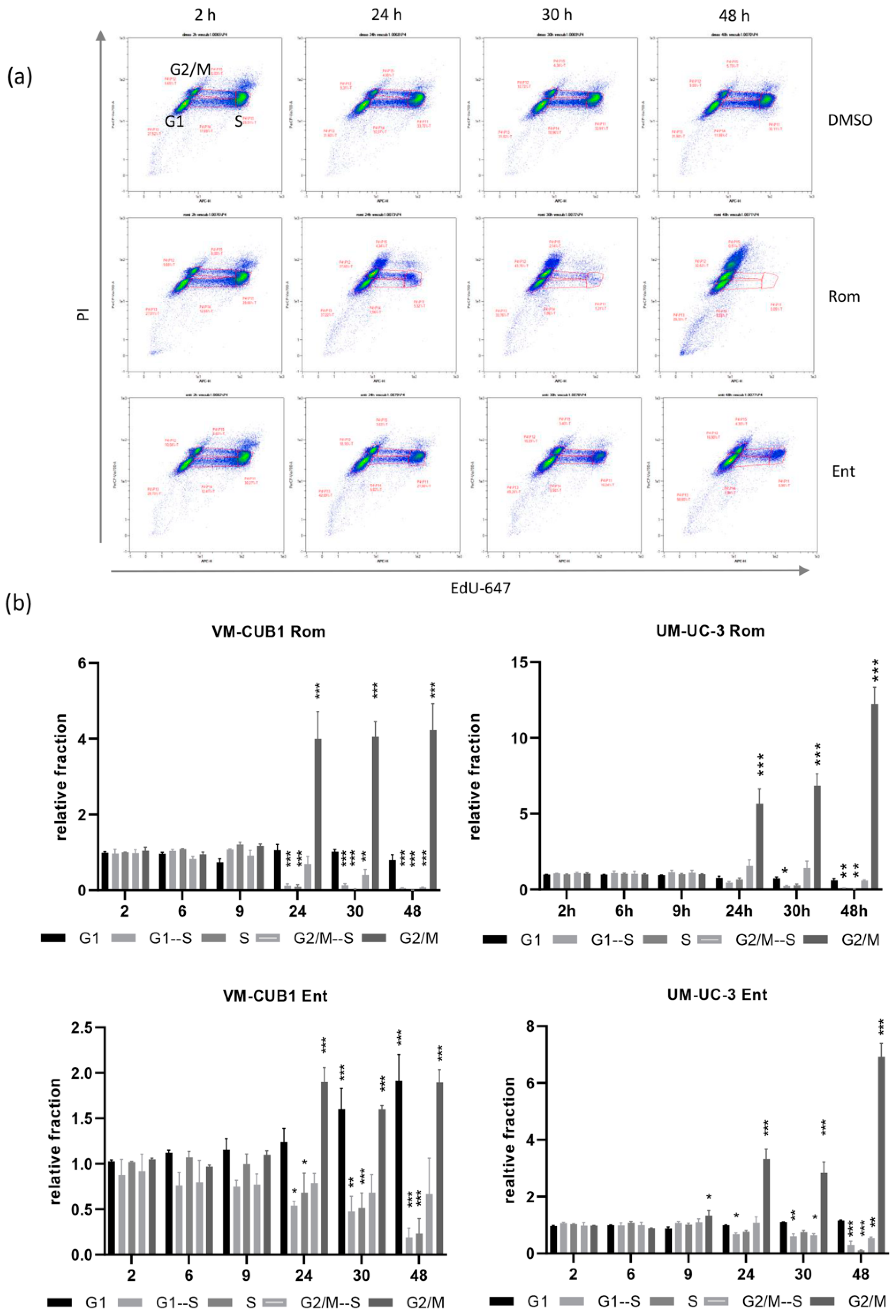 Genes 12 00260 g005 Genes 12 00260 g005