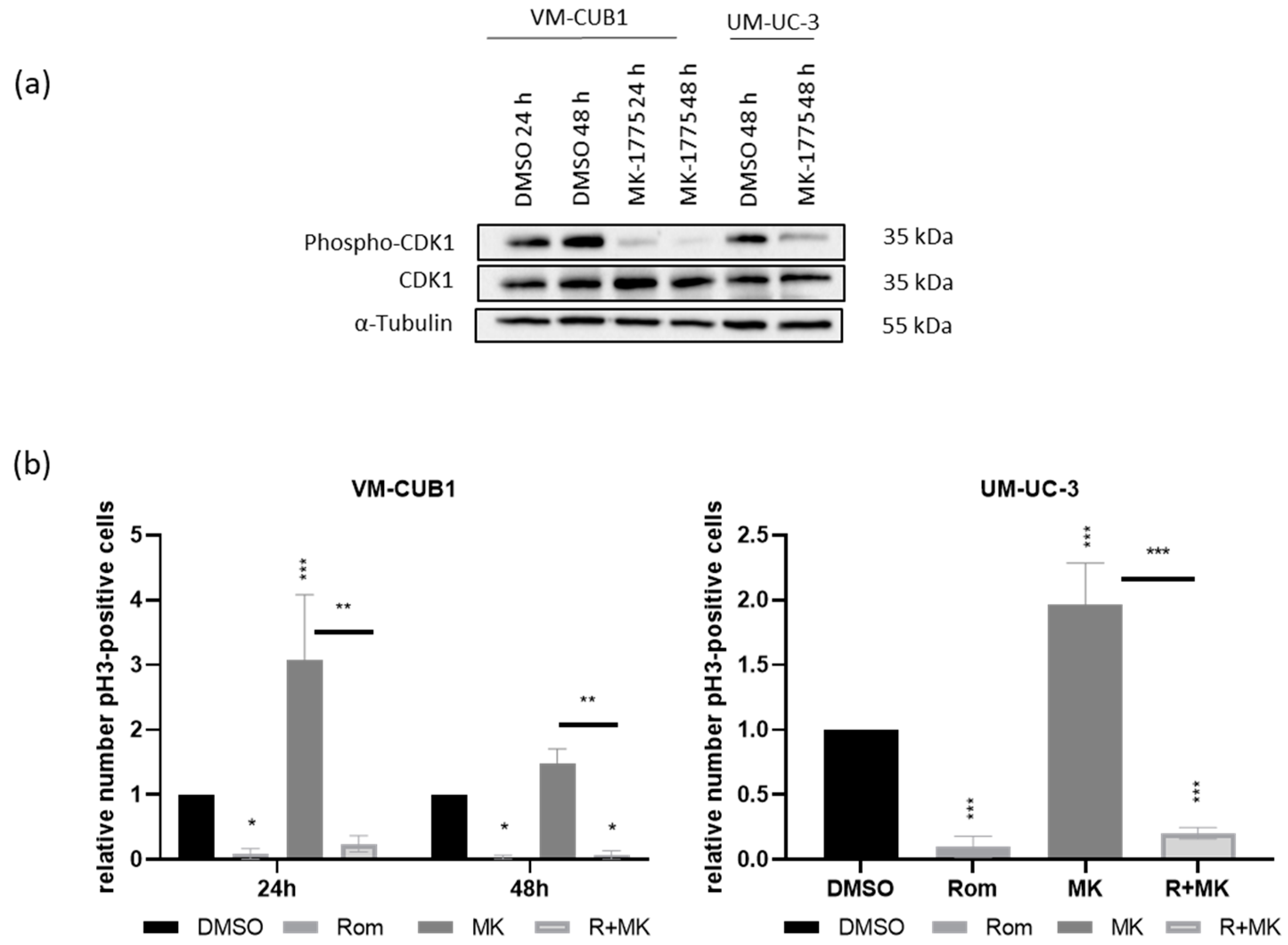 Genes 12 00260 g008 Genes 12 00260 g008