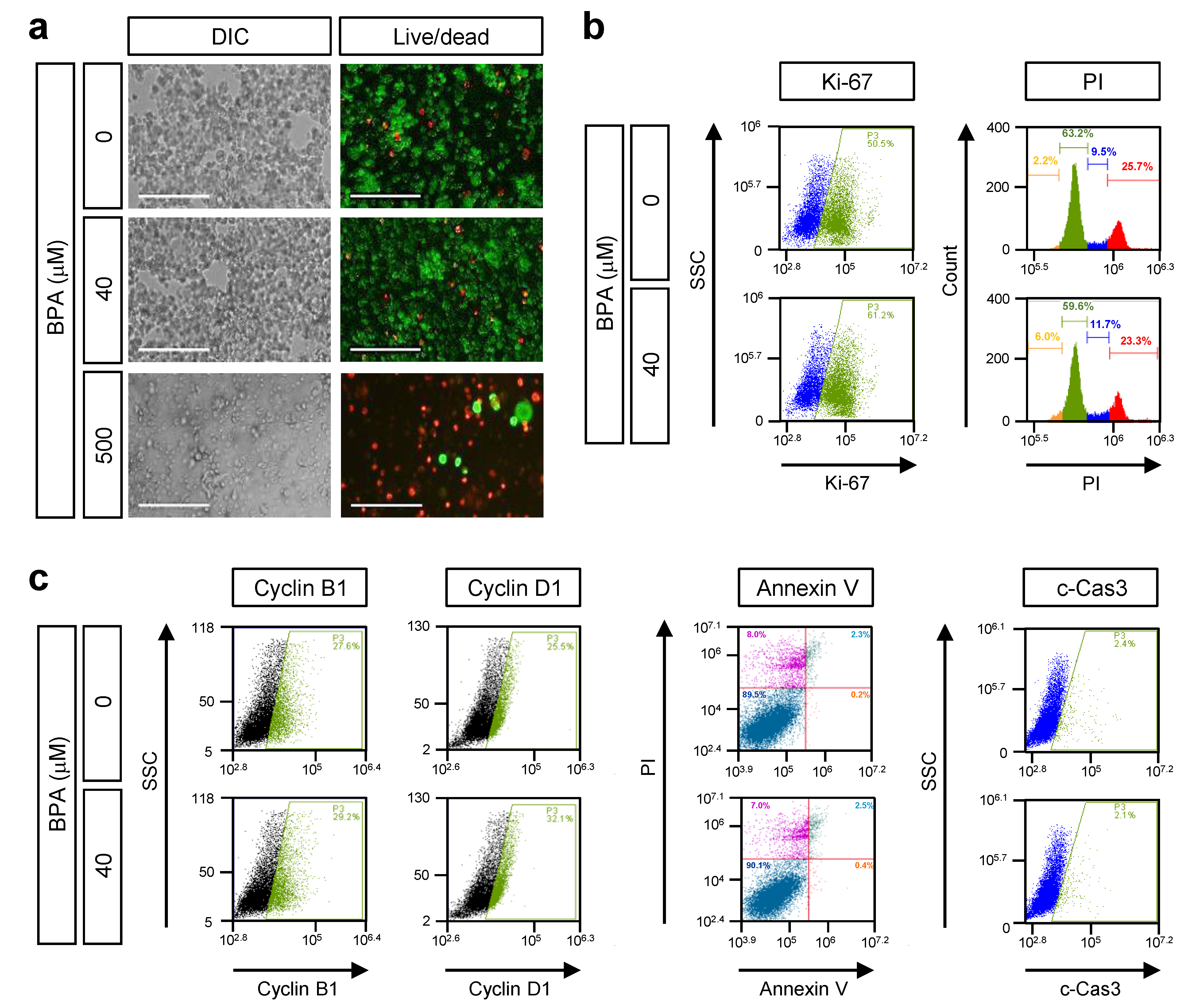 Genes Free Full-Text Bisphenol A Exposure Changes the Transcriptomic and Proteomic Dynamics of Human Retinoblastoma Y79 Cells photo