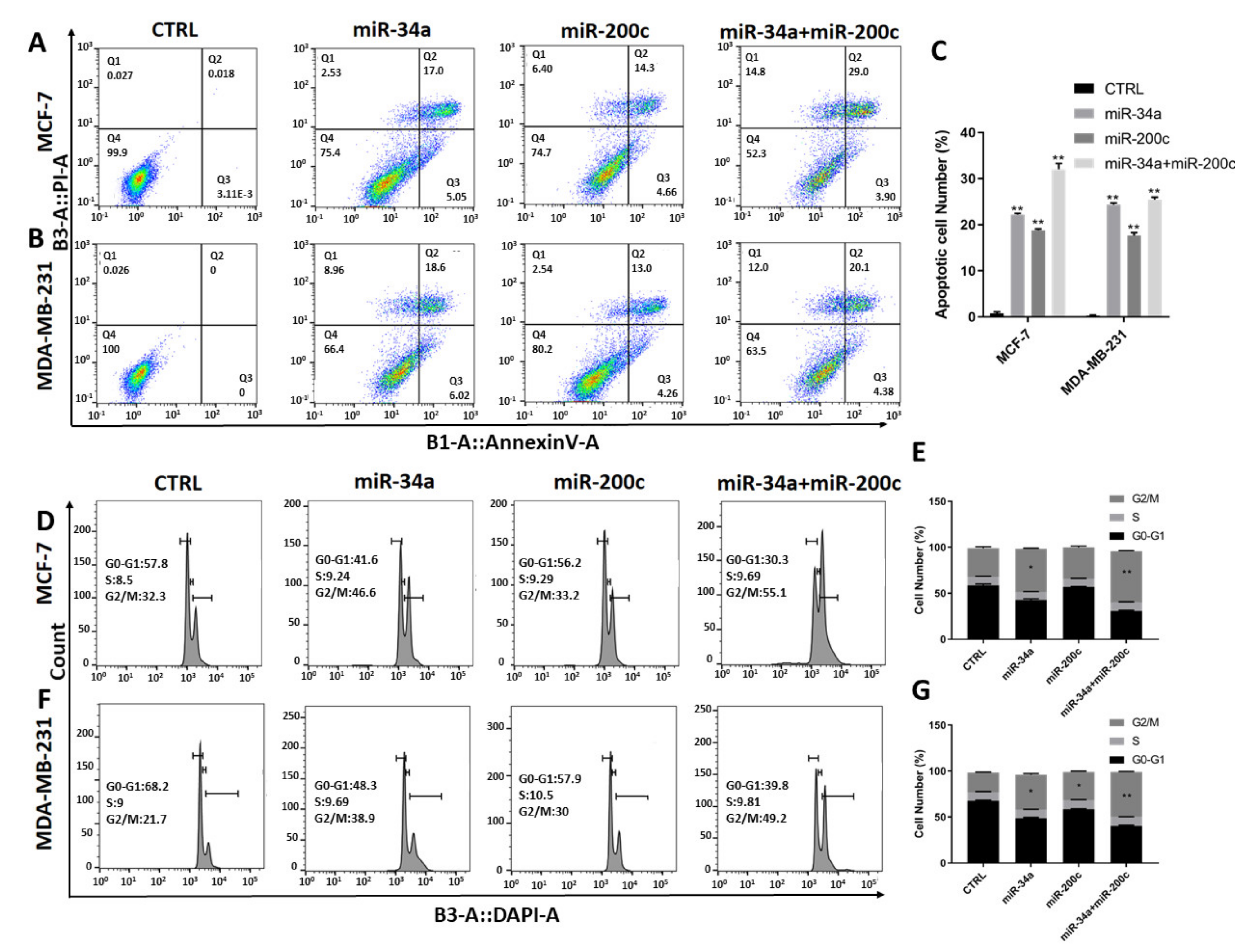 Genes 12 00267 g002 Genes 12 00267 g002