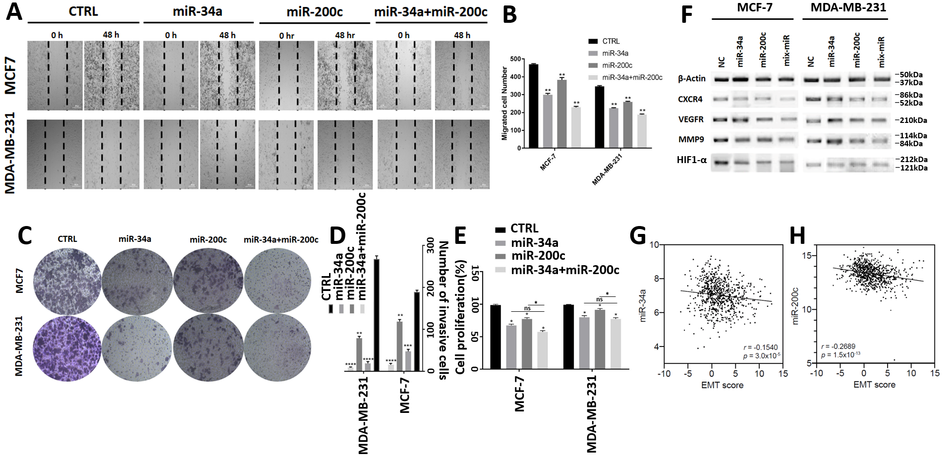 Genes 12 00267 g003 Genes 12 00267 g003