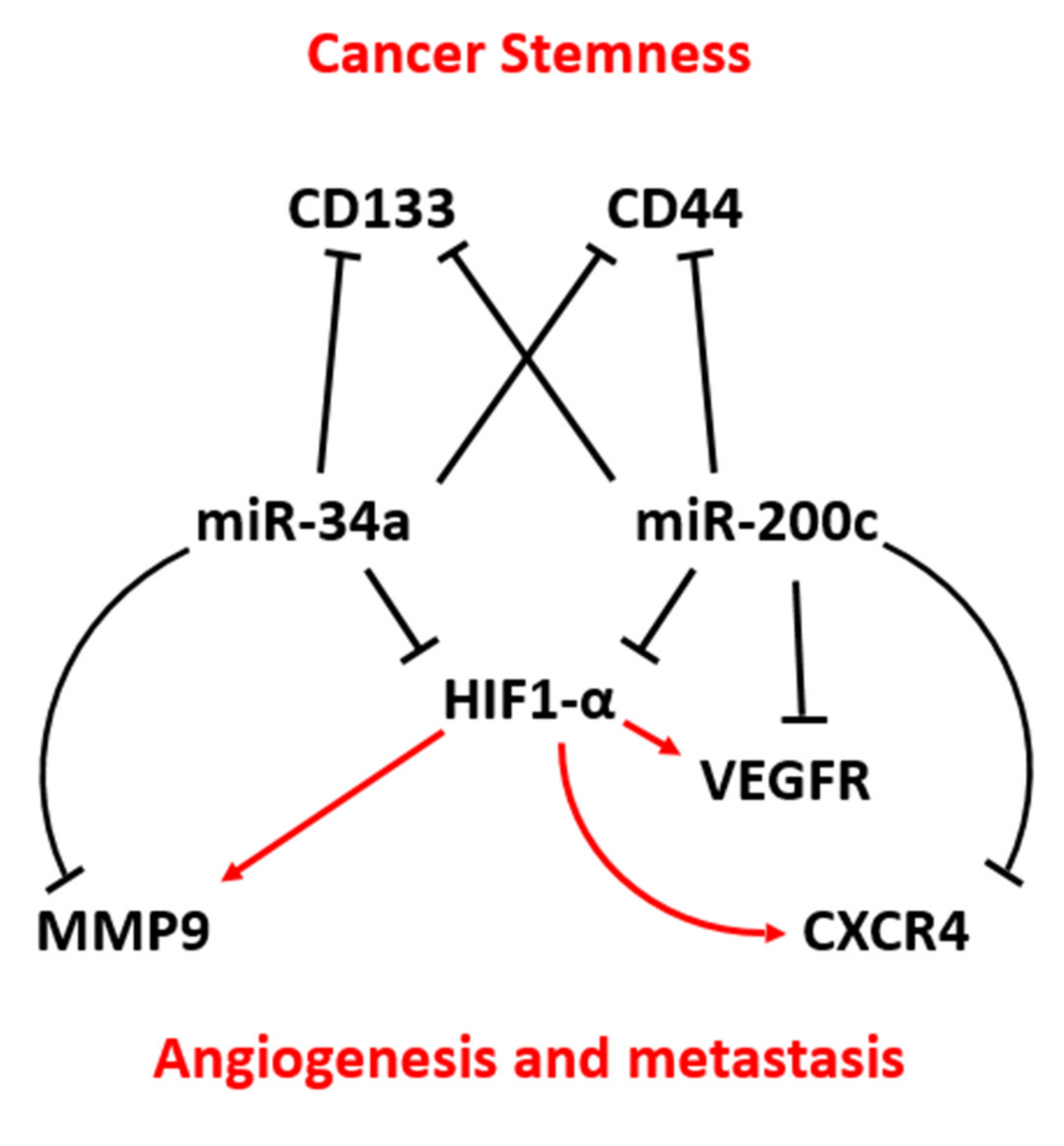 Genes 12 00267 g006 Genes 12 00267 g006