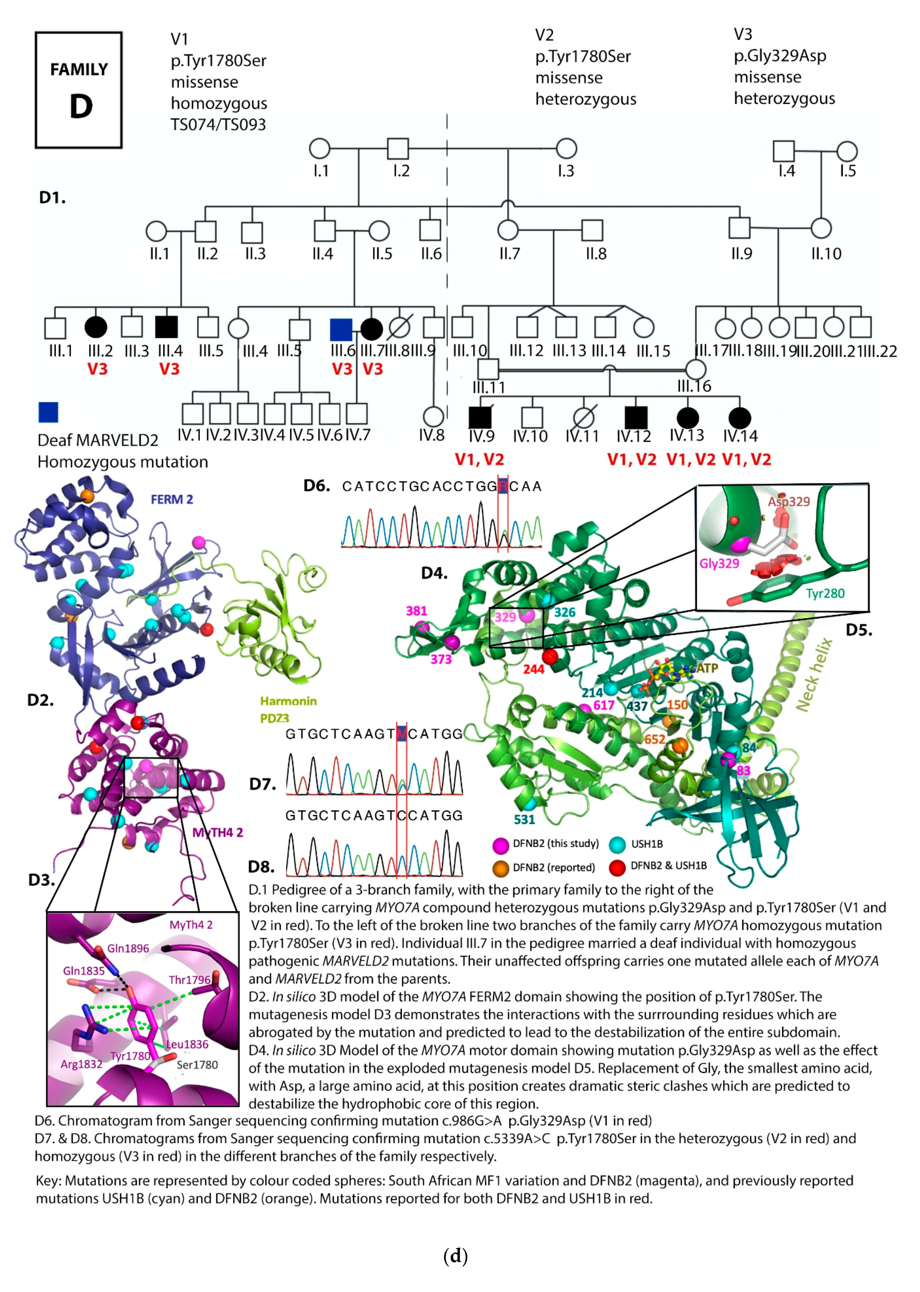 Genes 12 00274 g002d
