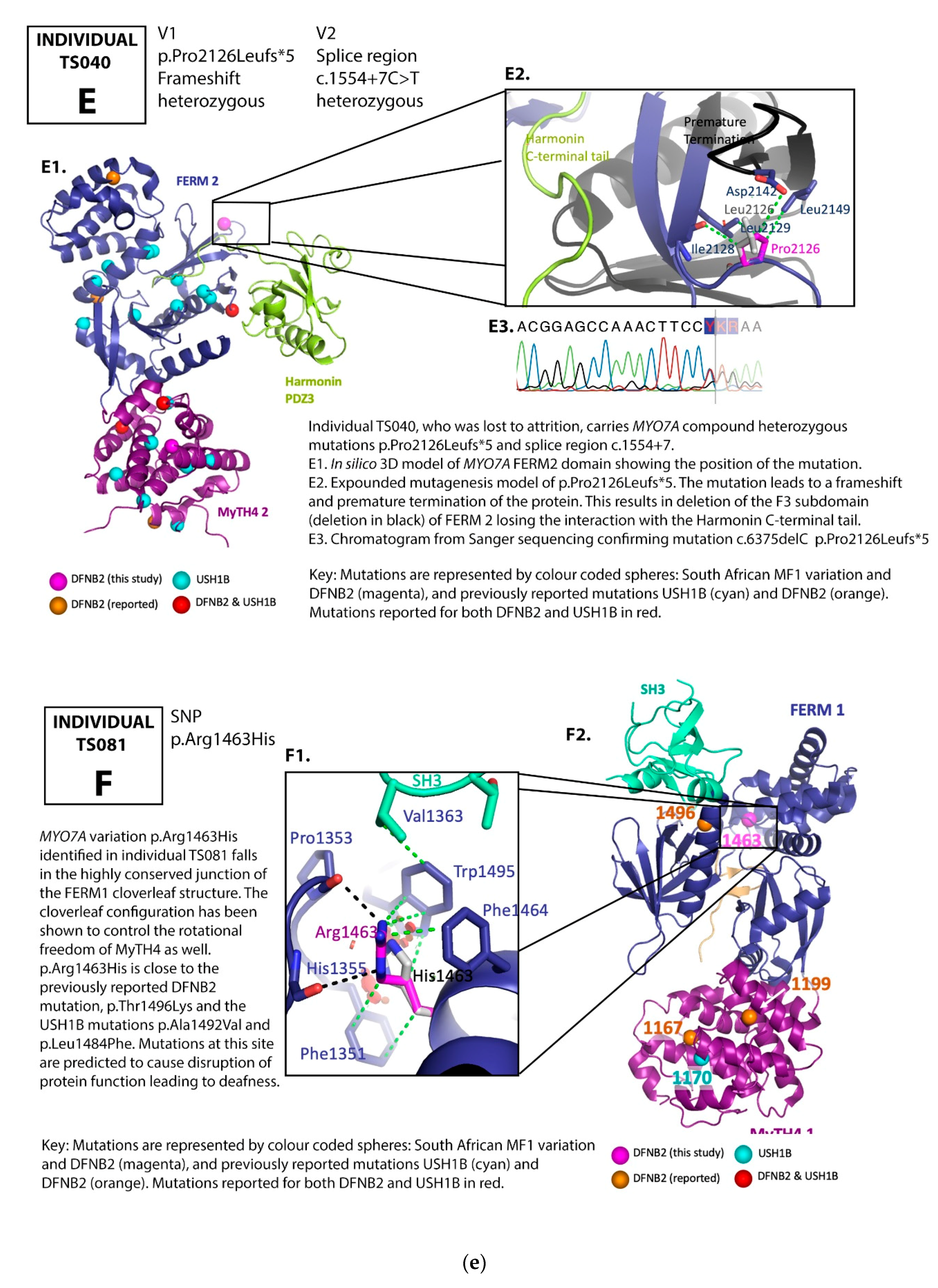 Genes 12 00274 g002e