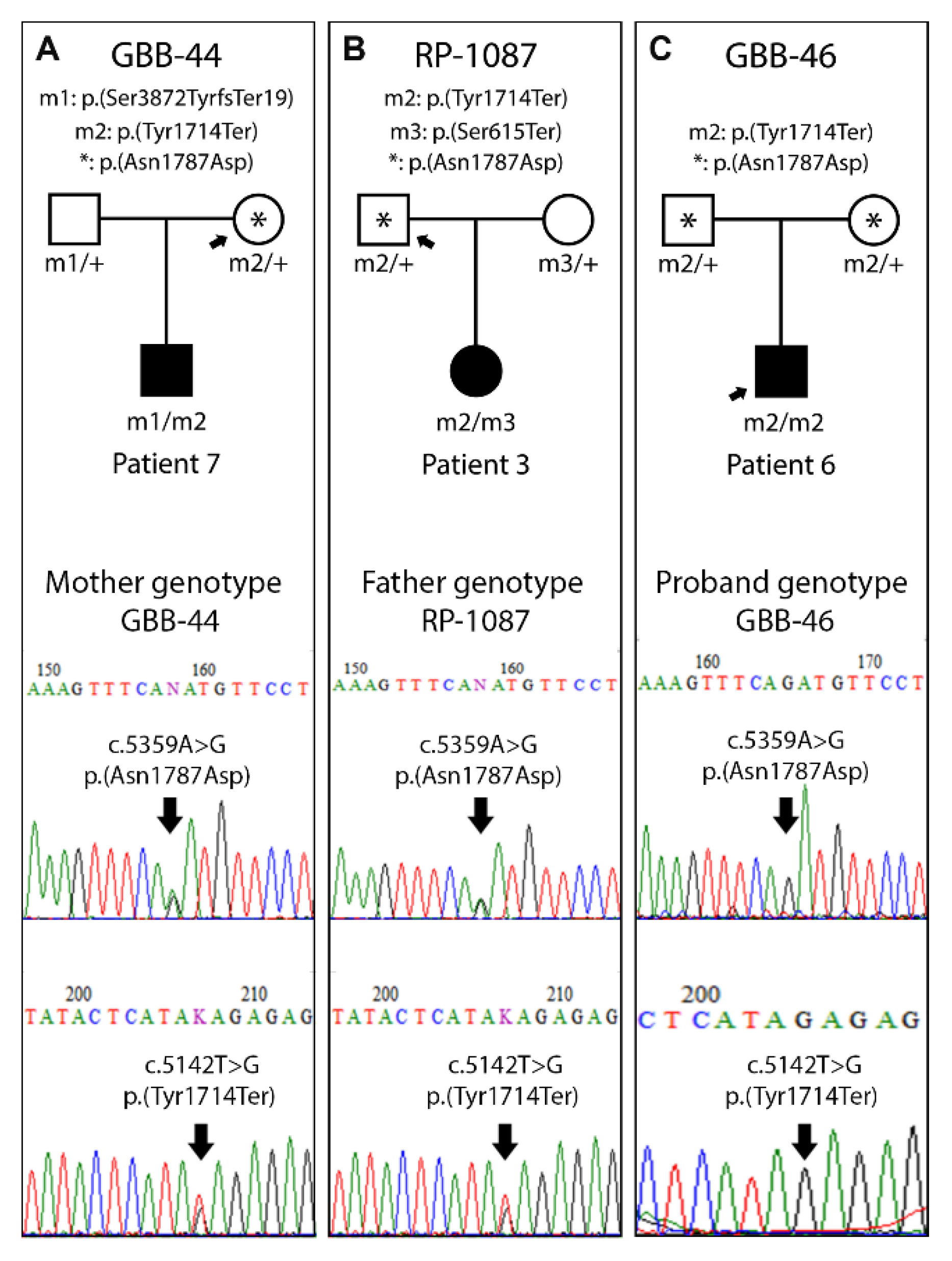 Genes 12 00282 g003 Genes 12 00282 g003