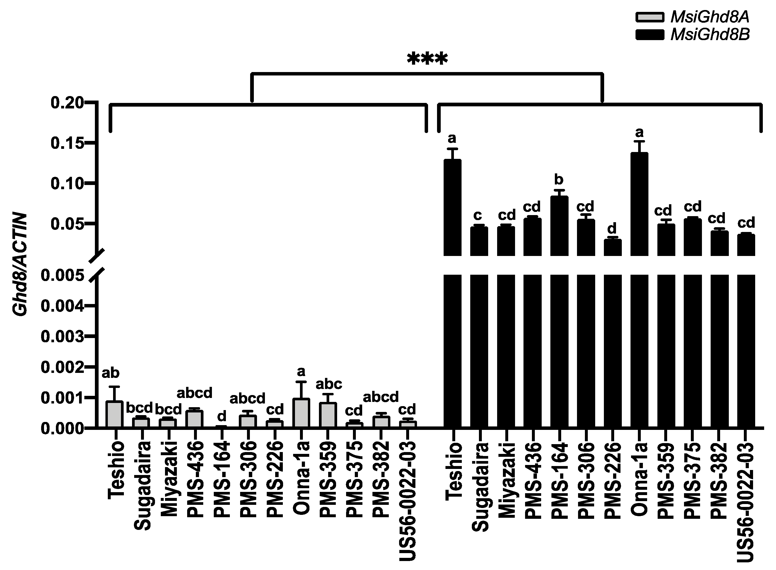 Genes 12 00288 g004