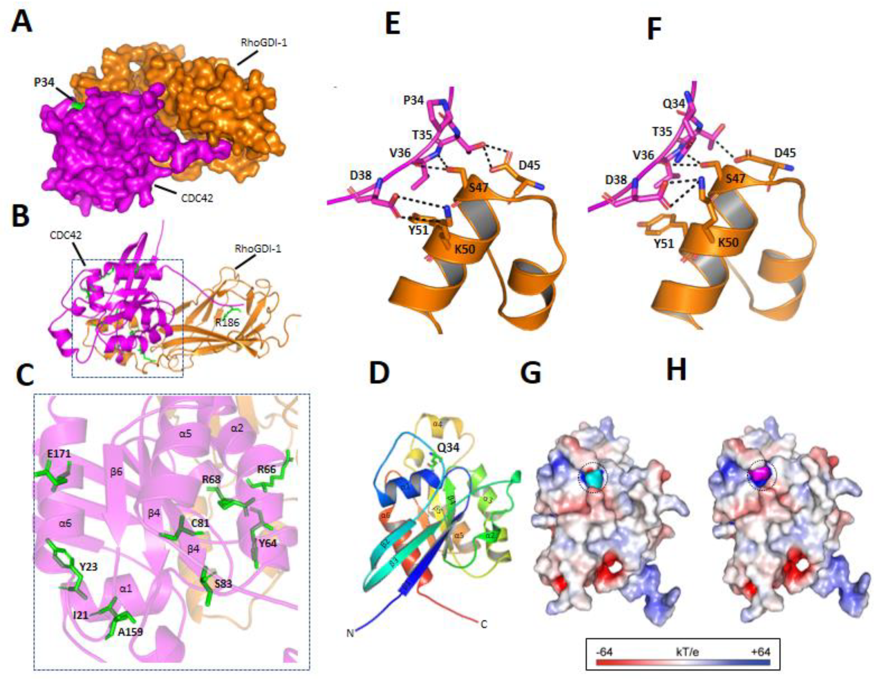 Genes 12 00294 g003 Genes 12 00294 g003