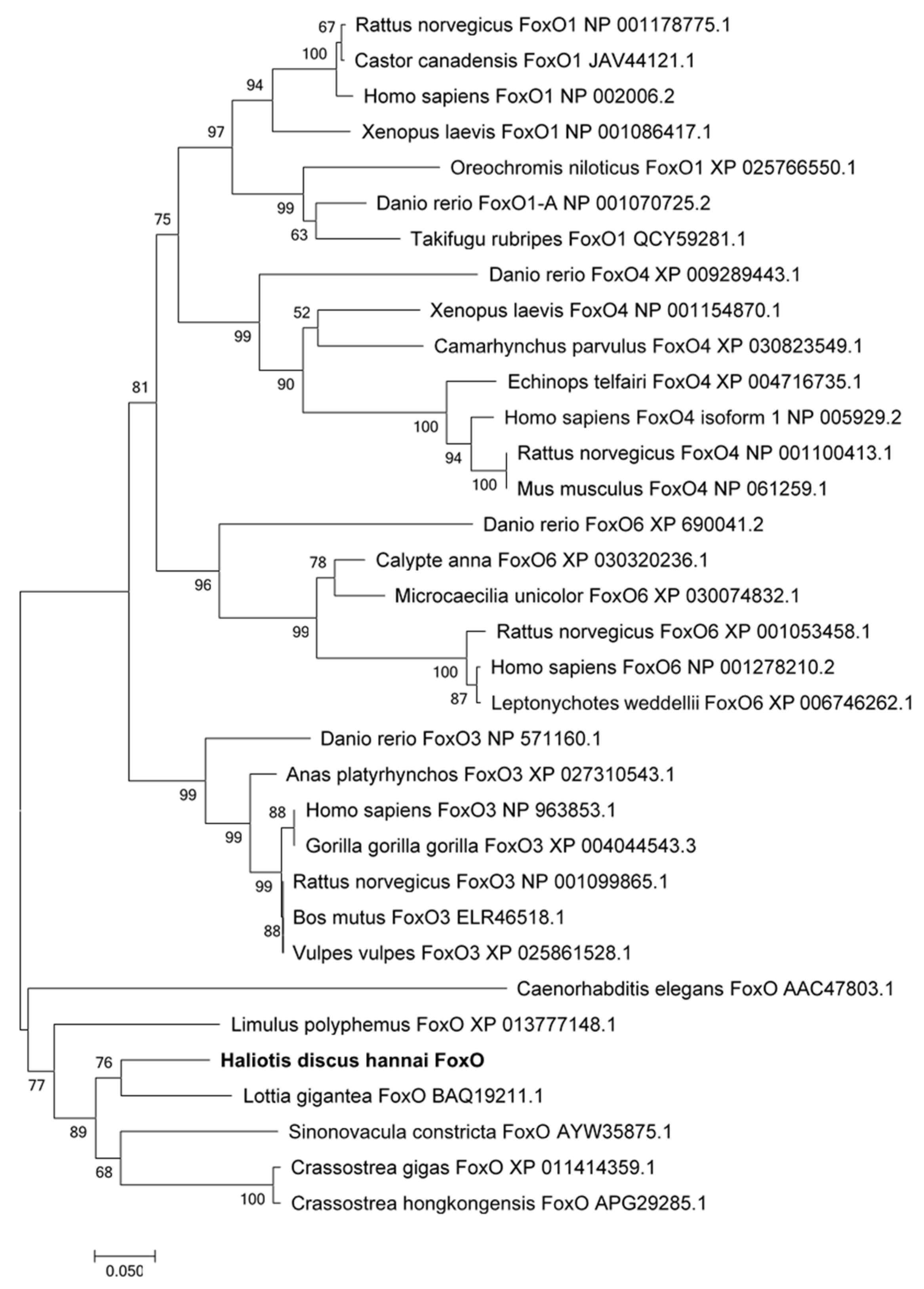 Genes 12 00297 g001 Genes 12 00297 g001