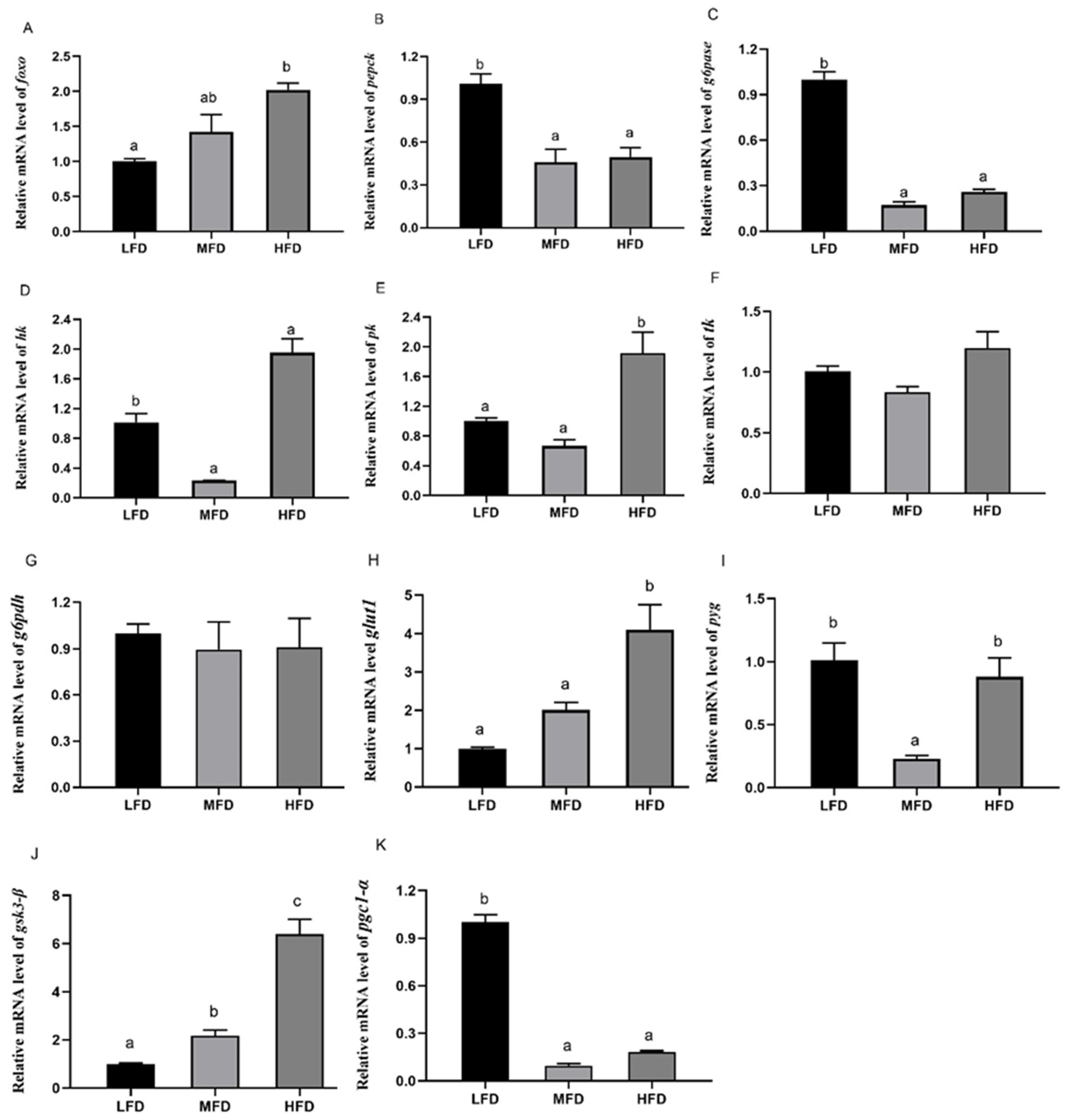 Genes 12 00297 g007 Genes 12 00297 g007