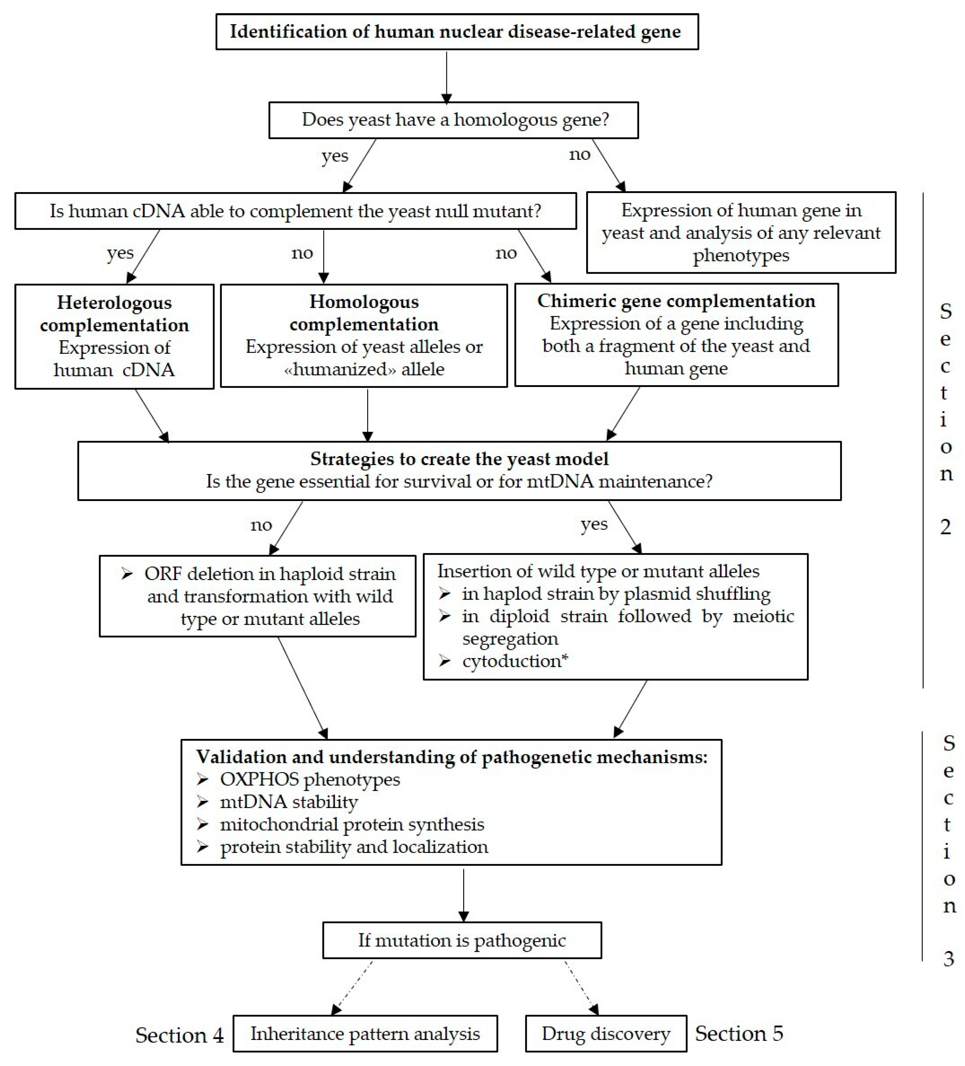 Genes 12 00300 g001 Genes 12 00300 g001