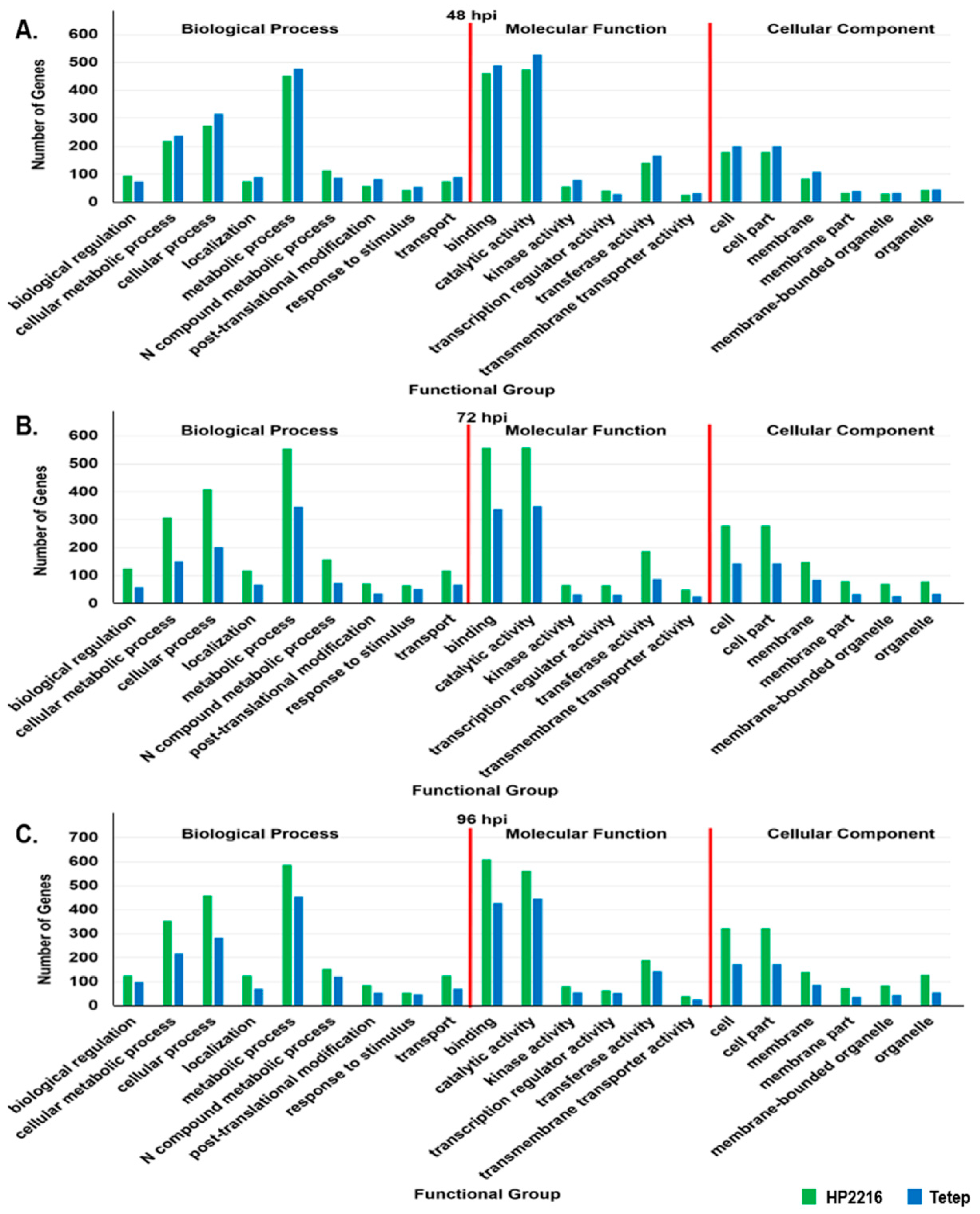 Genes 12 00301 g003 Genes 12 00301 g003