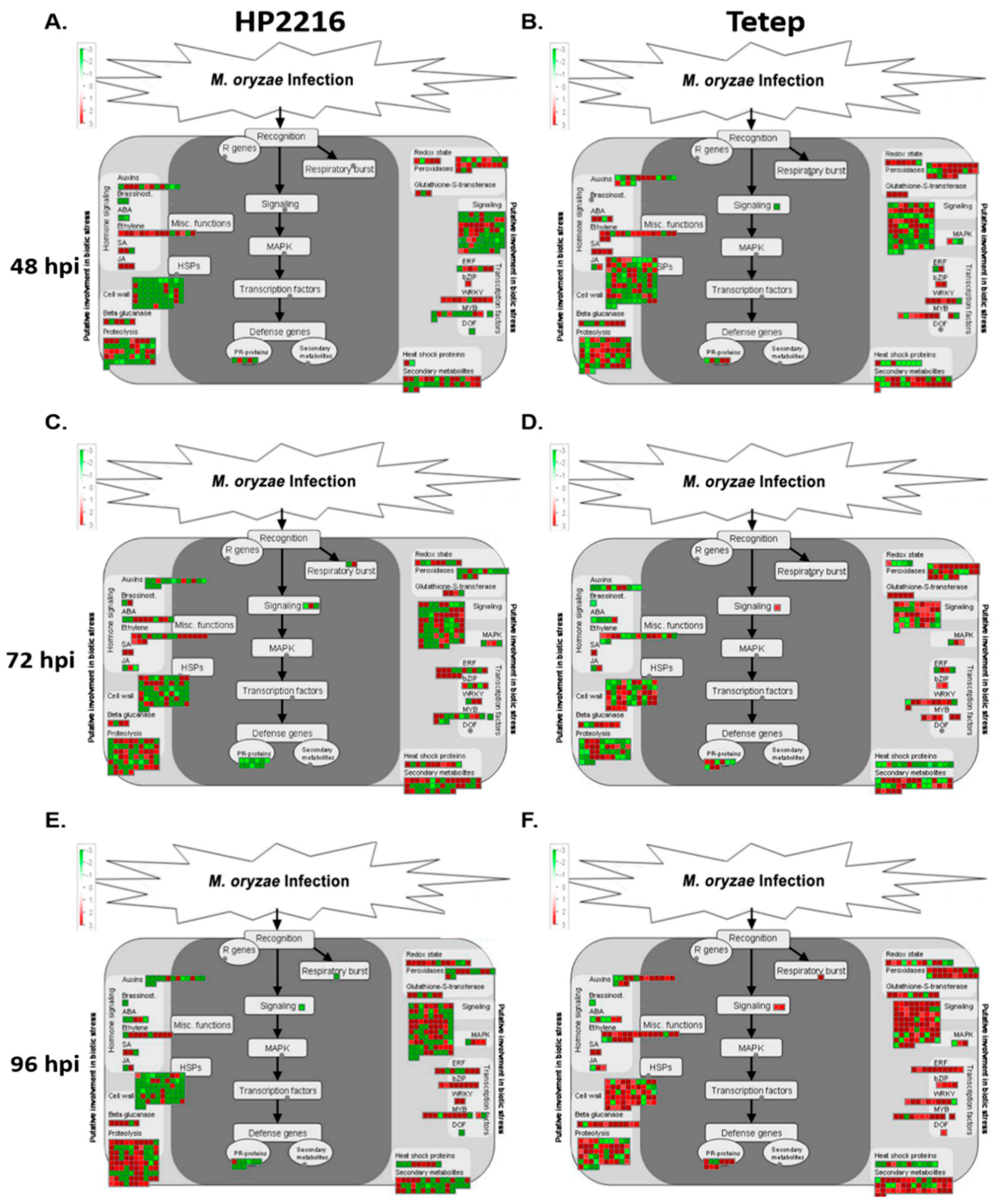 Genes 12 00301 g005 Genes 12 00301 g005