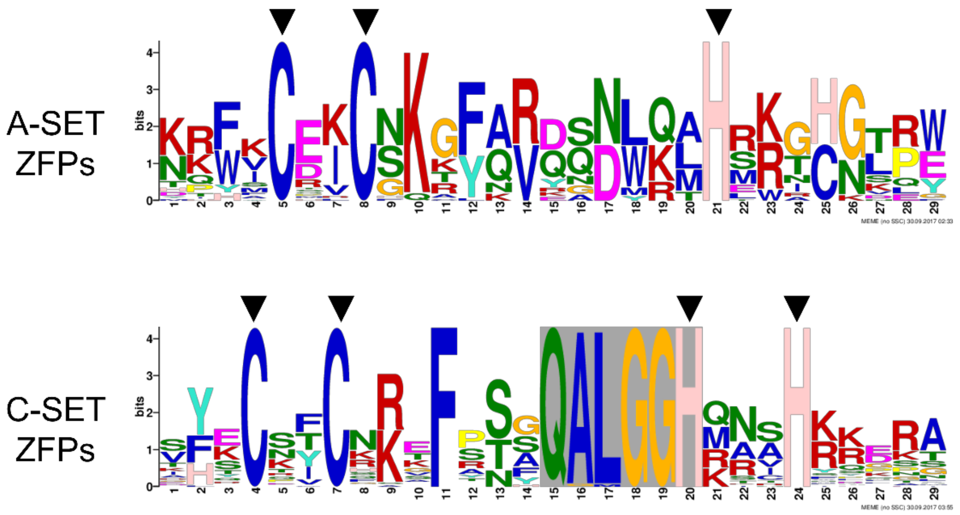 Genes 12 00302 g002 Genes 12 00302 g002