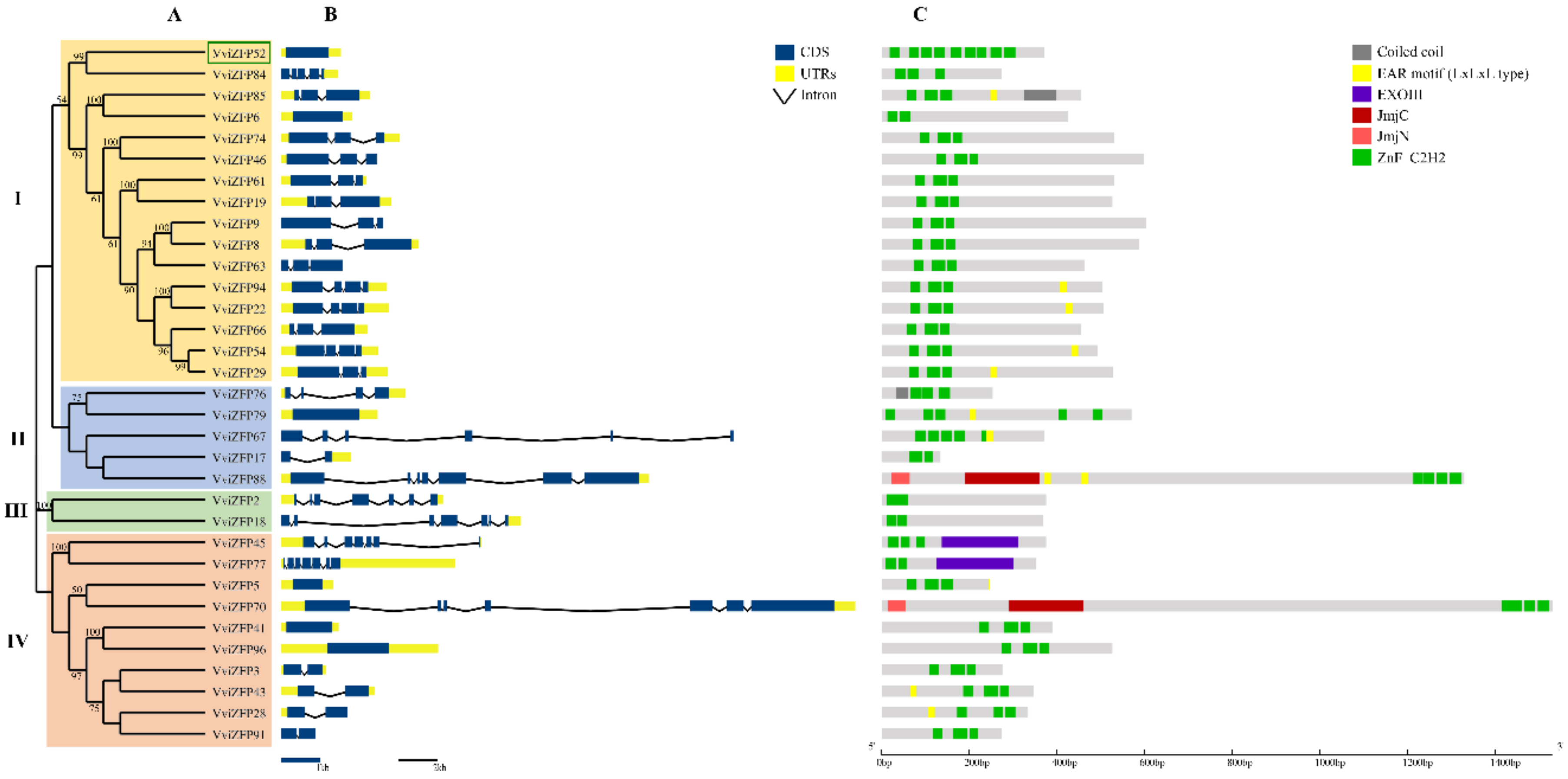 Genes 12 00302 g003 Genes 12 00302 g003