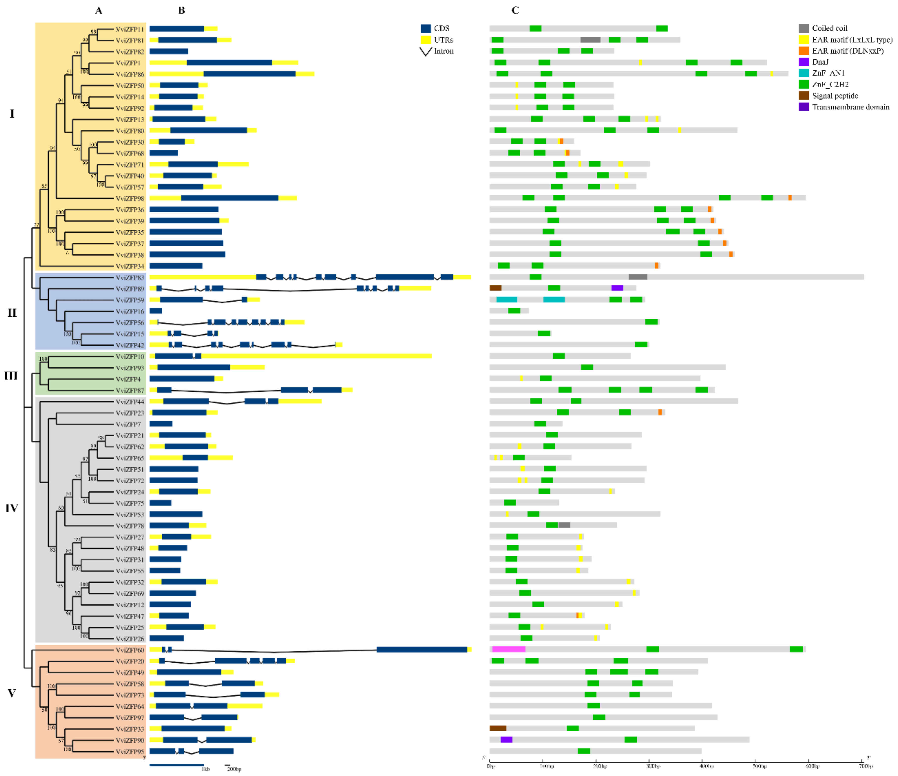 Genes 12 00302 g004 Genes 12 00302 g004