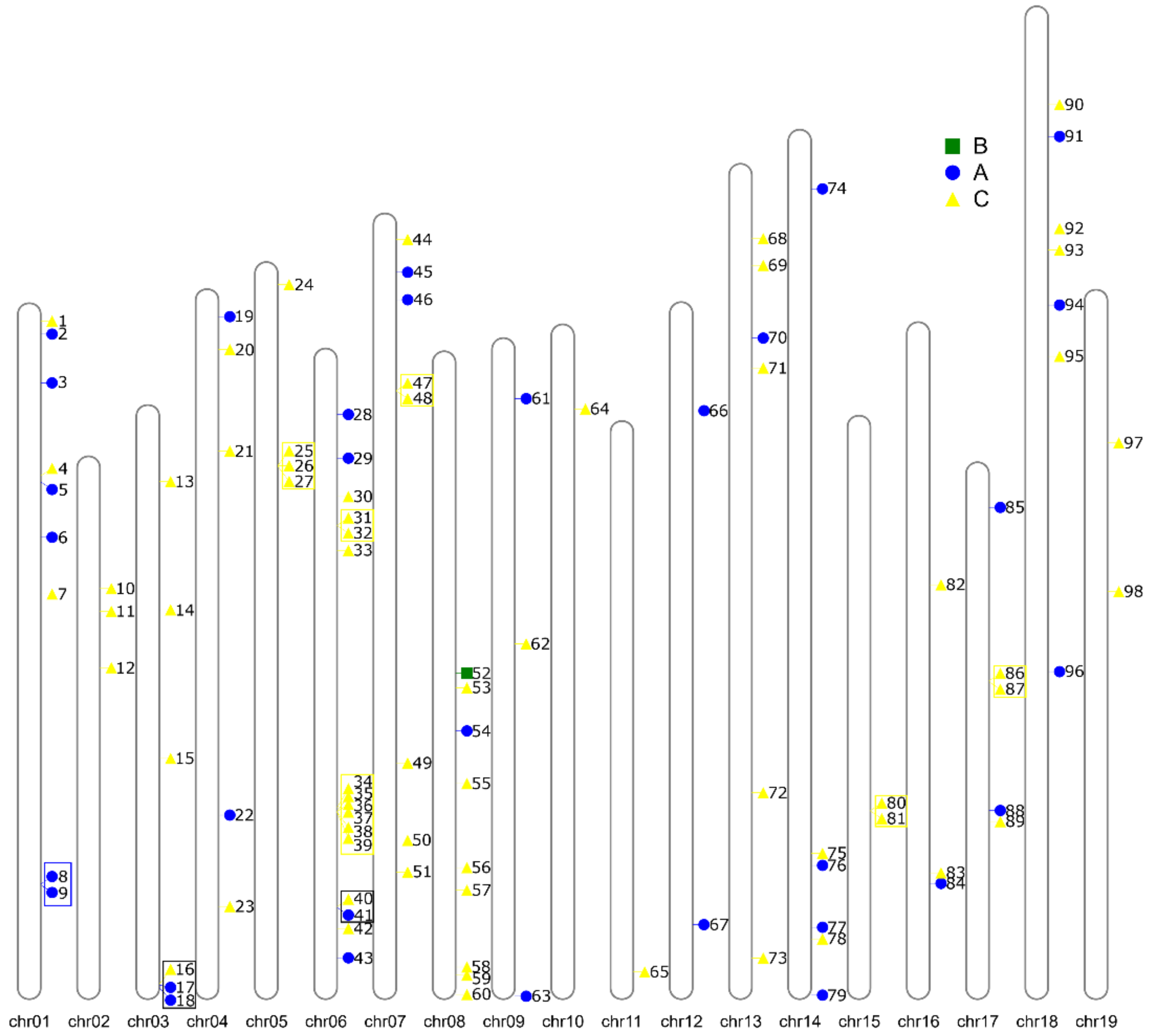 Genes 12 00302 g006 Genes 12 00302 g006