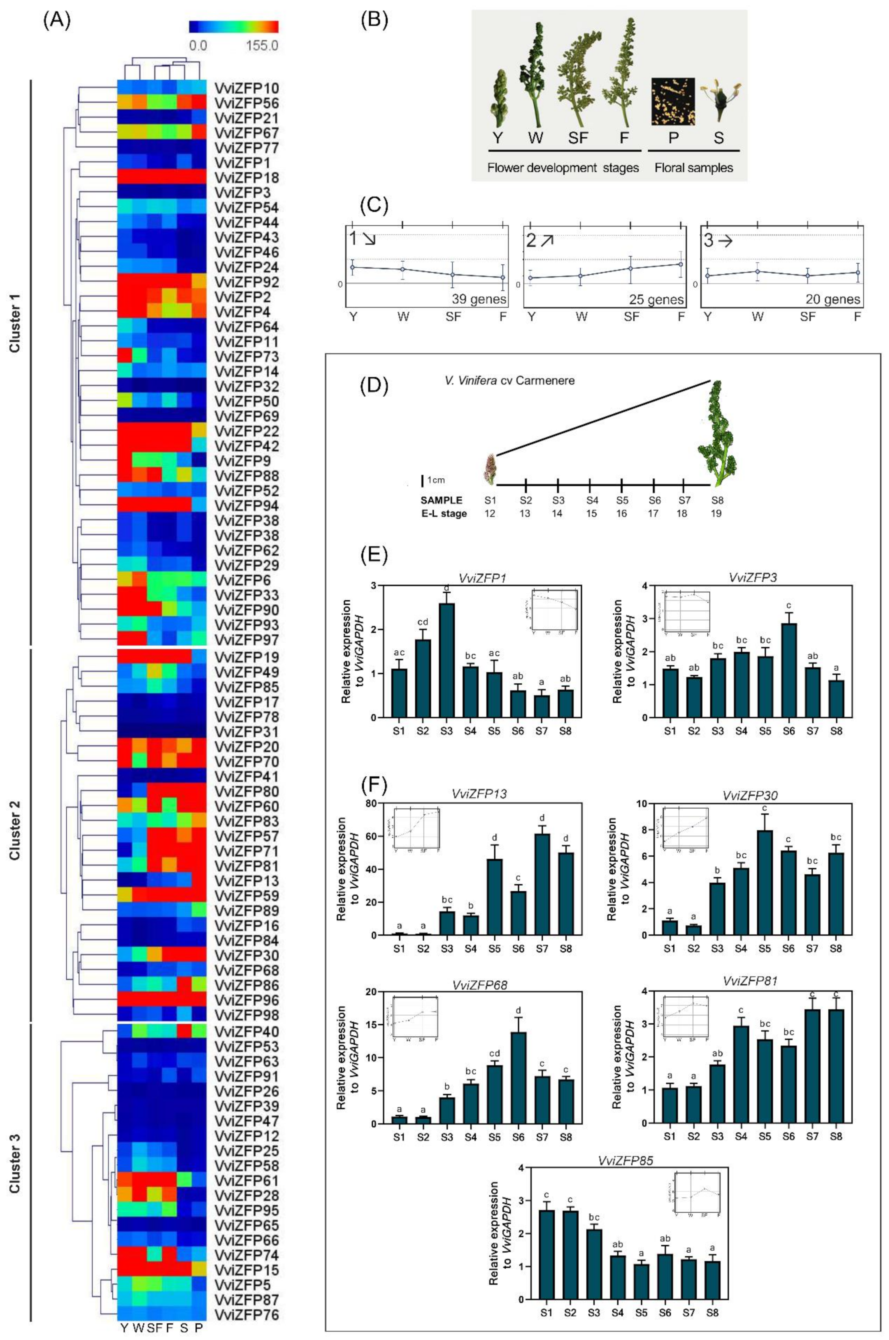 Genes 12 00302 g008 Genes 12 00302 g008