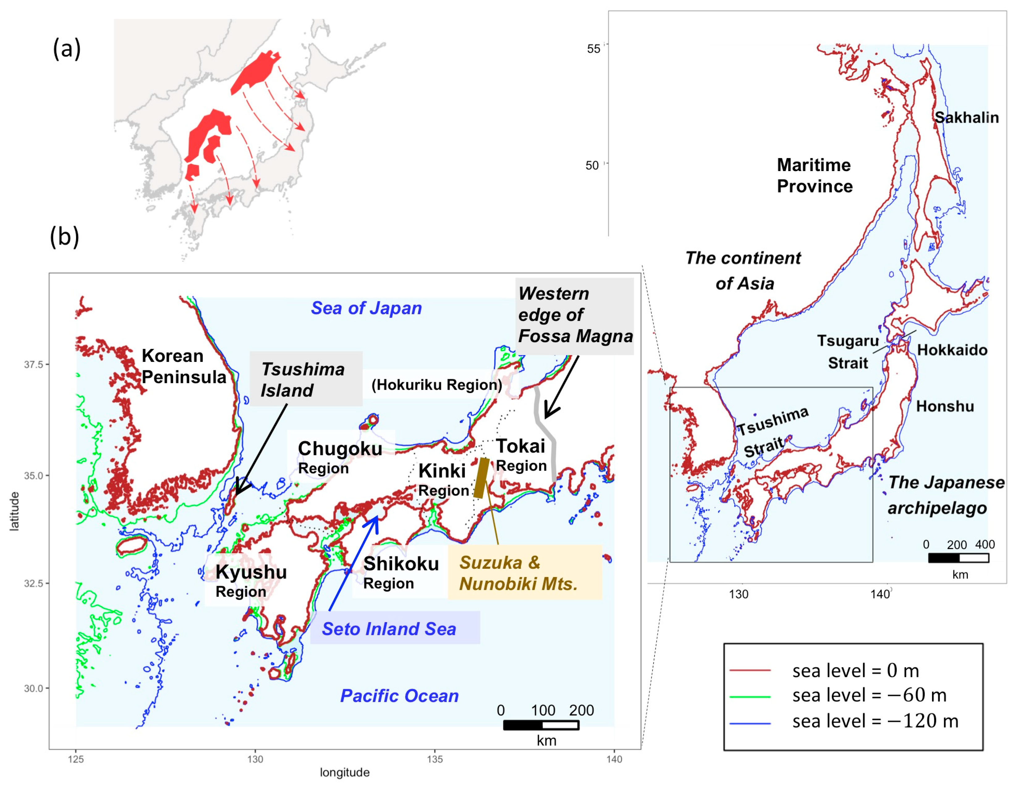 Genes 12 00303 g002 Genes 12 00303 g002
