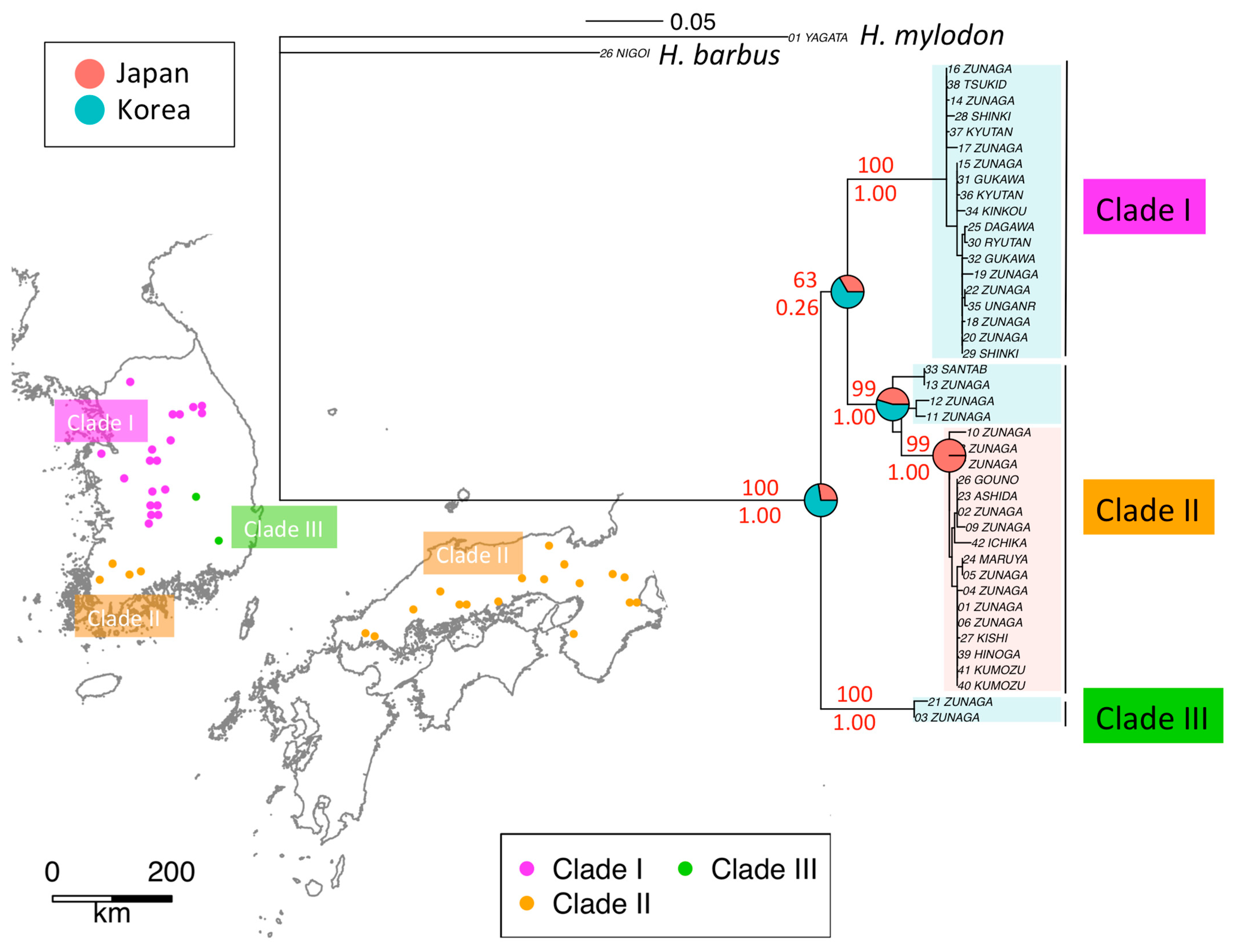 Genes 12 00303 g003 Genes 12 00303 g003