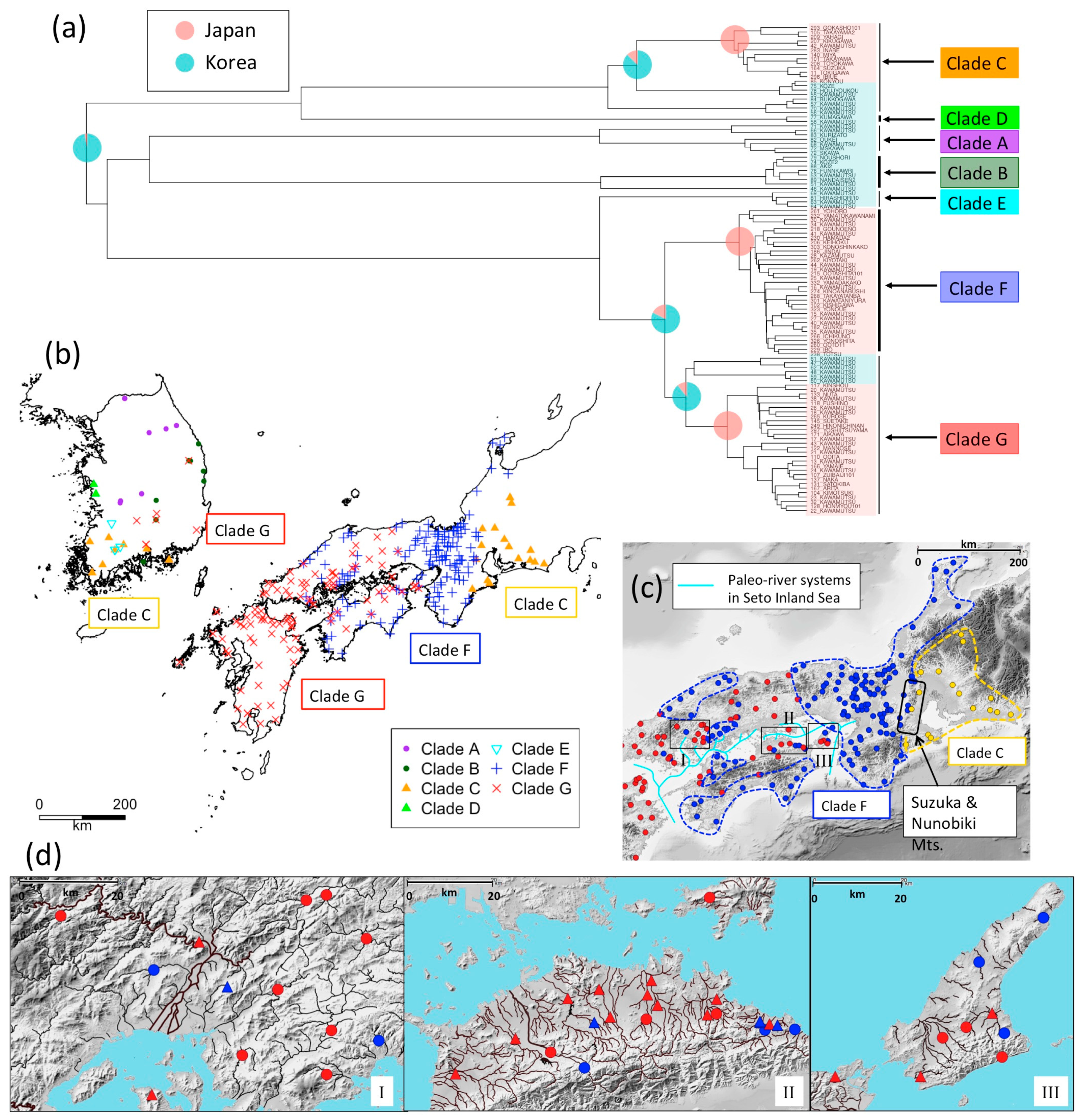 Genes 12 00303 g004 Genes 12 00303 g004