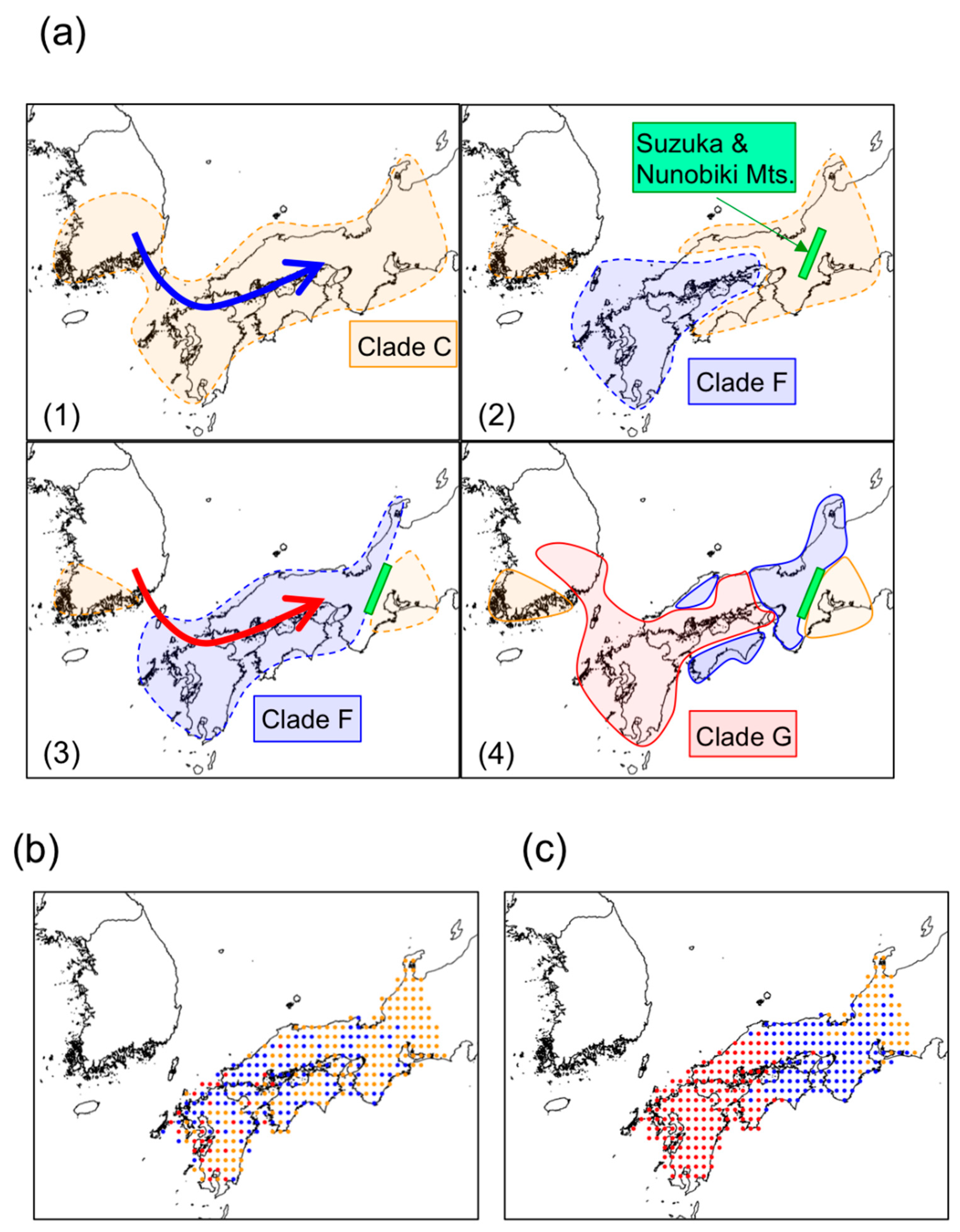 Genes 12 00303 g005 Genes 12 00303 g005