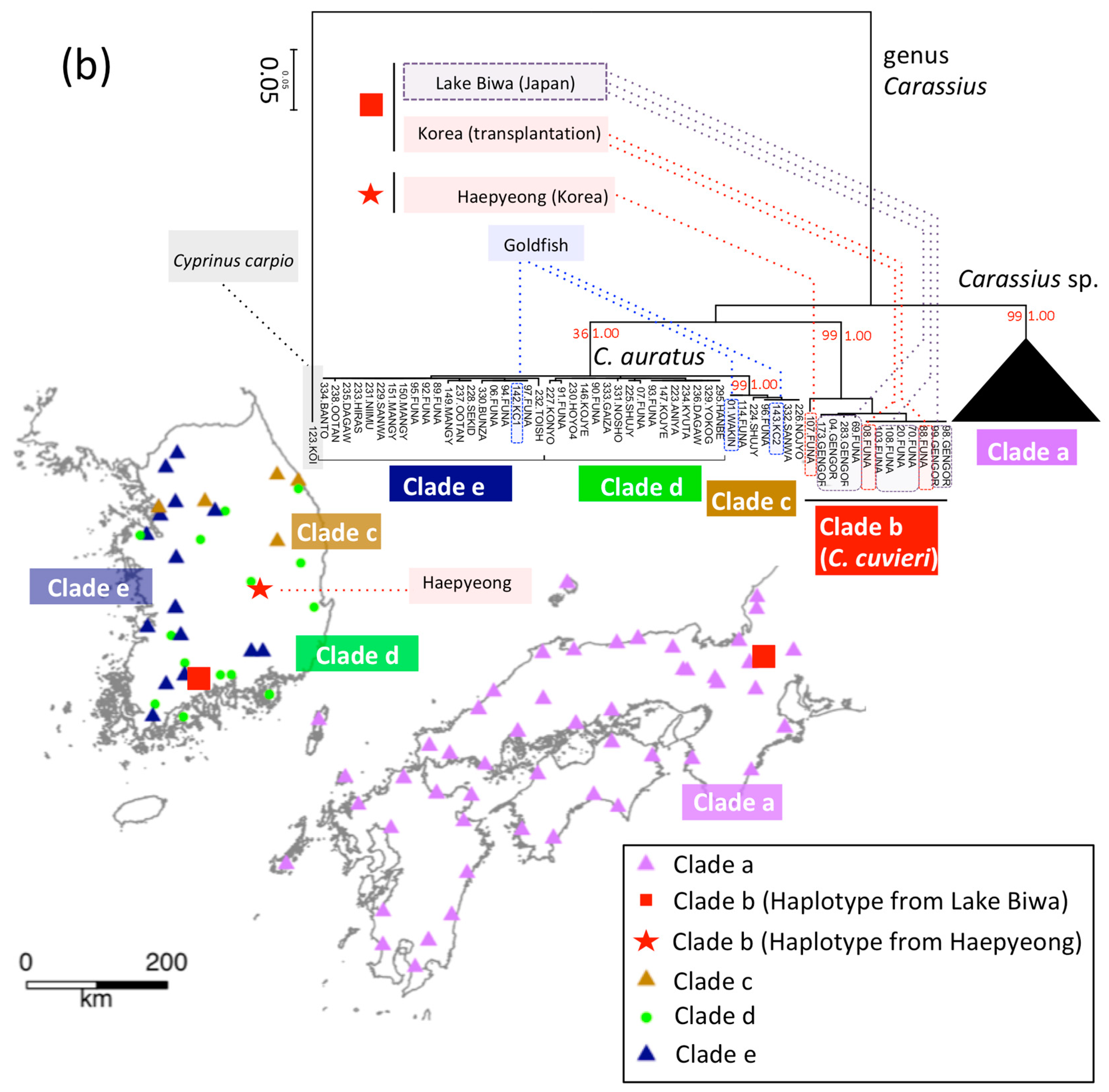Genes 12 00303 g006b Genes 12 00303 g006b