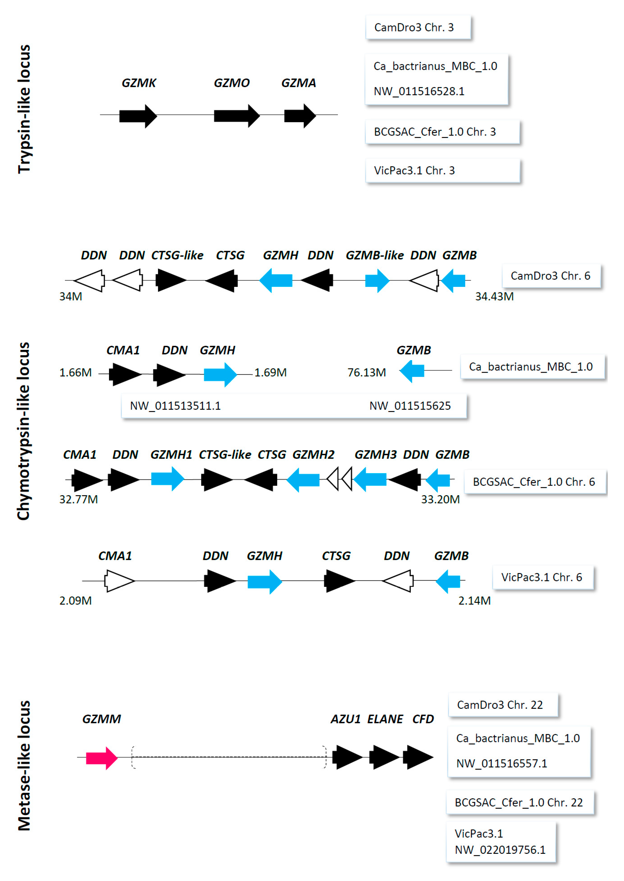 Genes 12 00304 g001 Genes 12 00304 g001