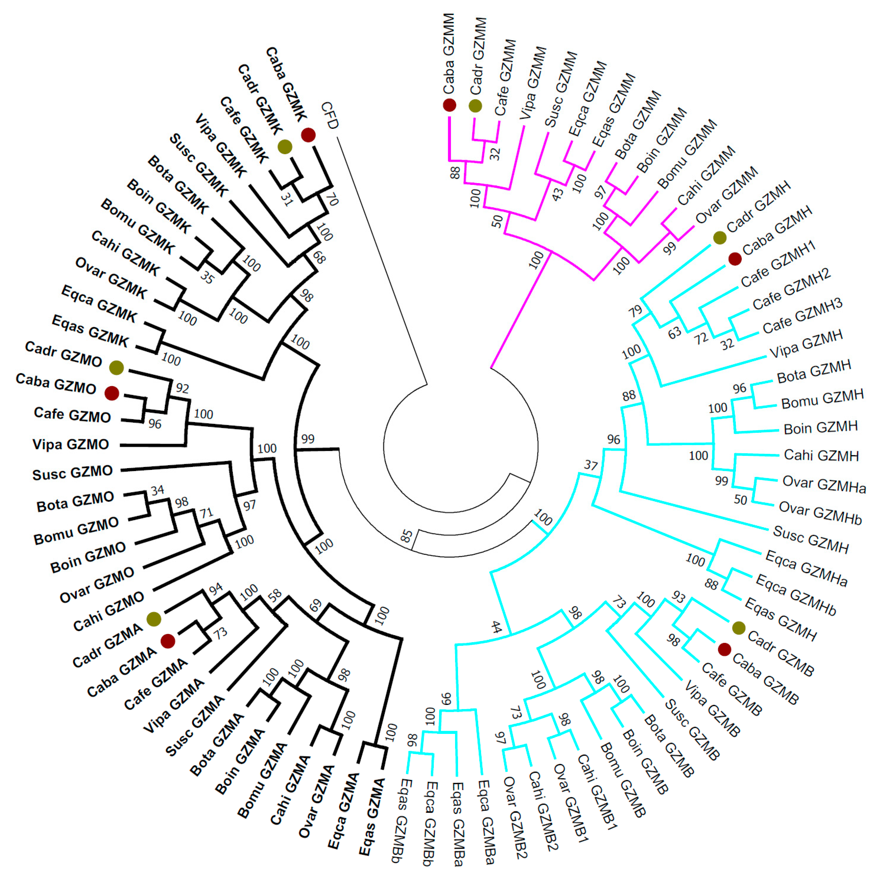 Genes 12 00304 g003 Genes 12 00304 g003