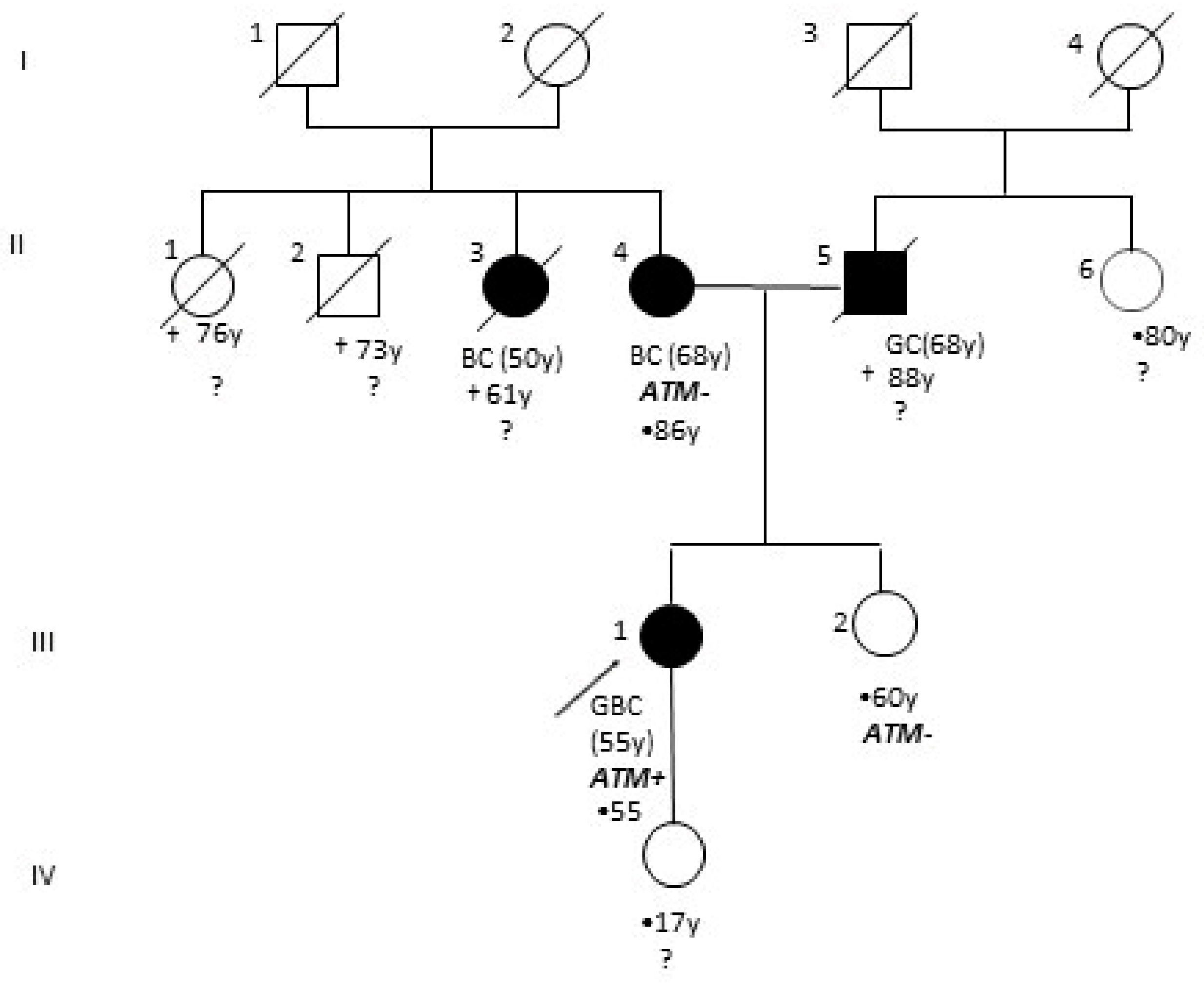 Genes 12 00313 g001 Genes 12 00313 g001