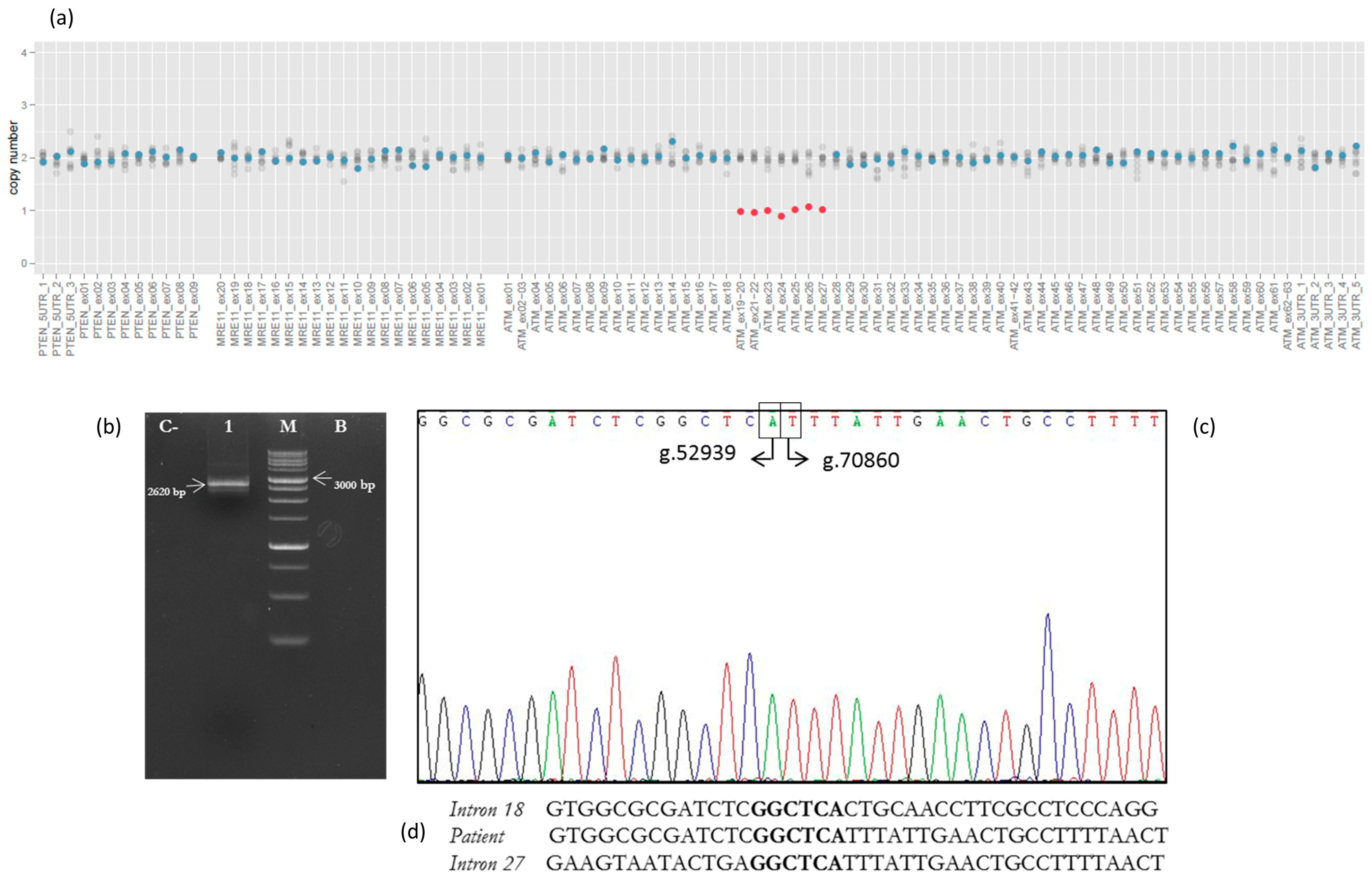 Genes 12 00313 g002 Genes 12 00313 g002