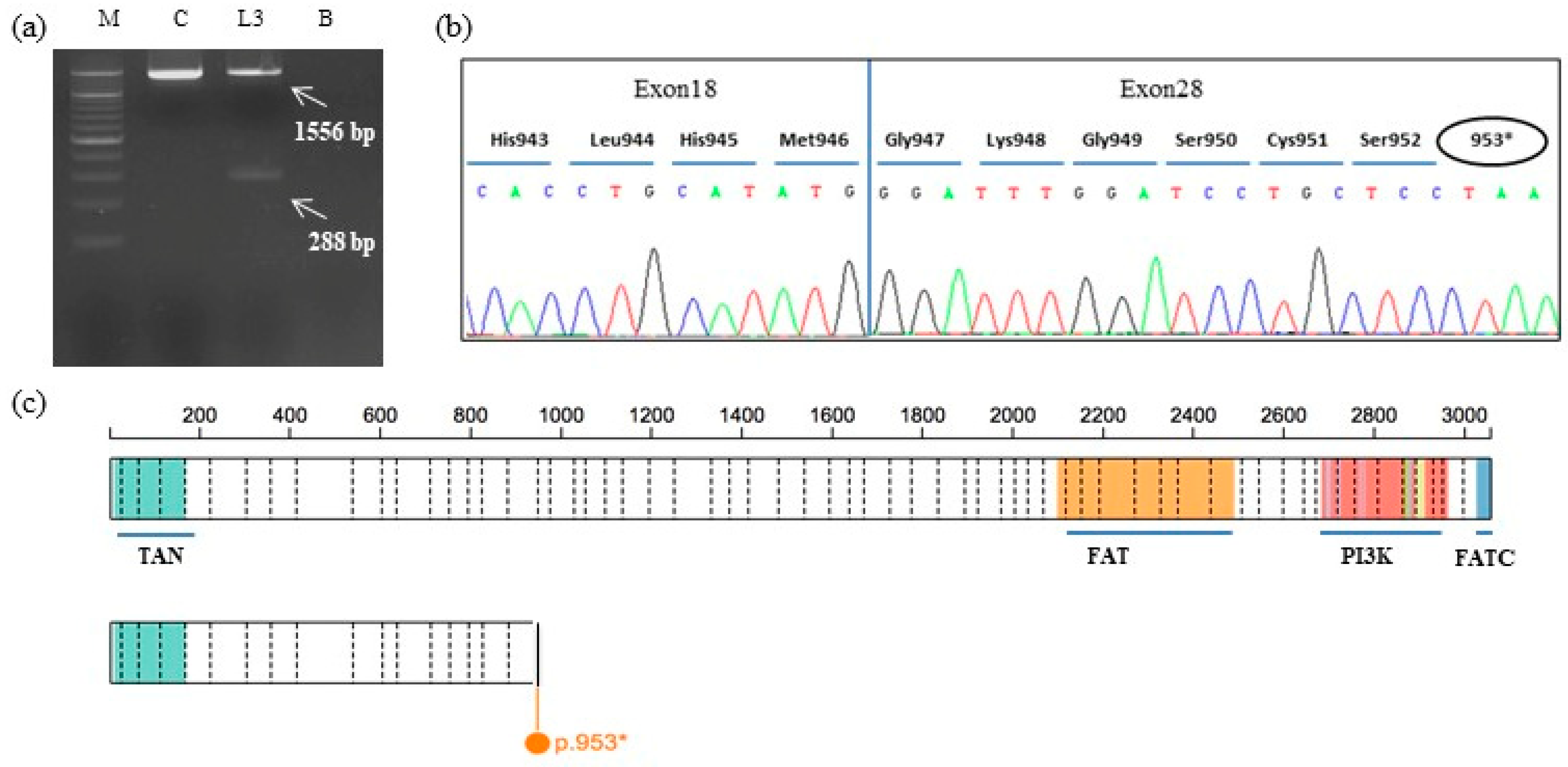 Genes 12 00313 g003 Genes 12 00313 g003