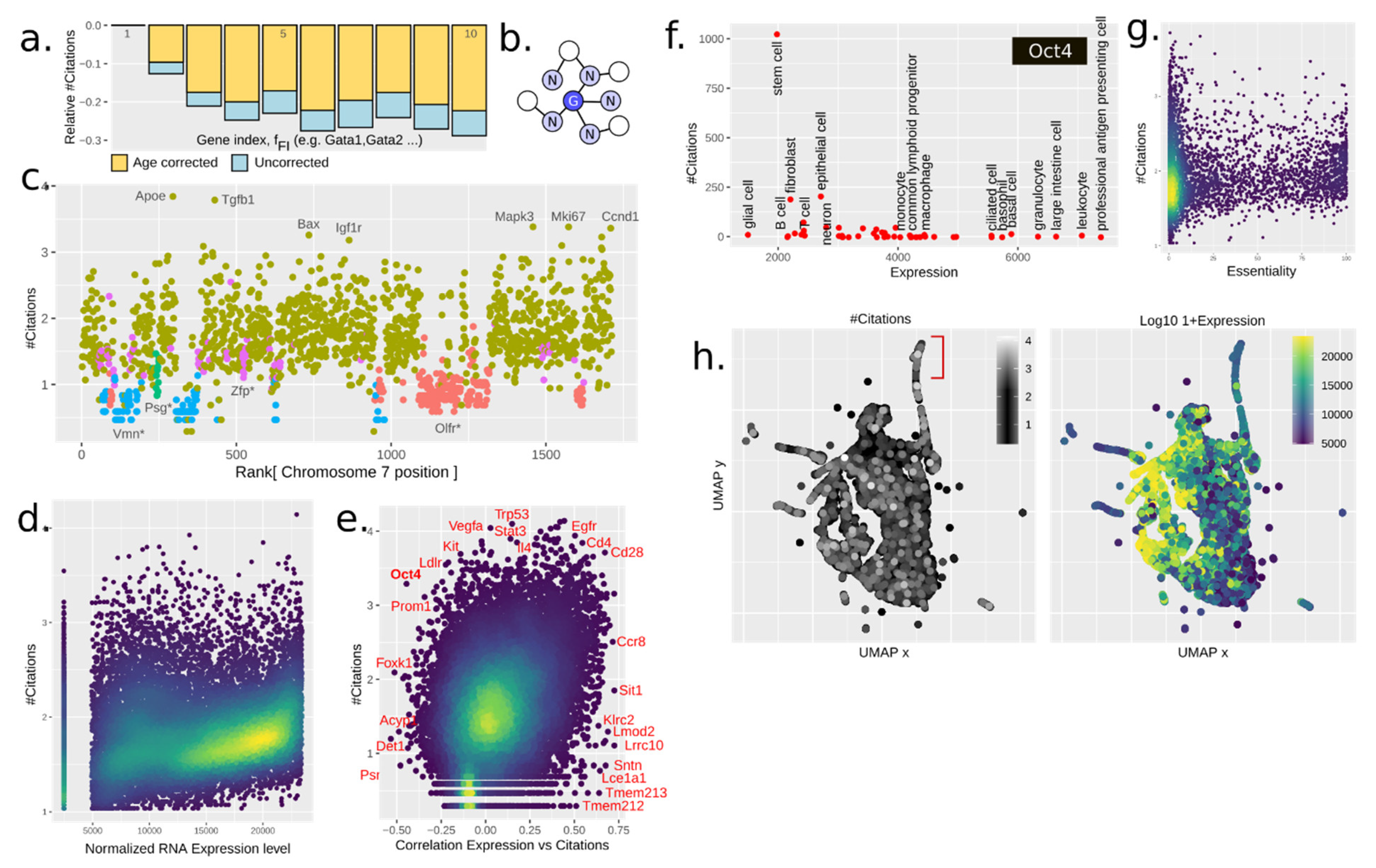 Genes 12 00319 g002 Genes 12 00319 g002