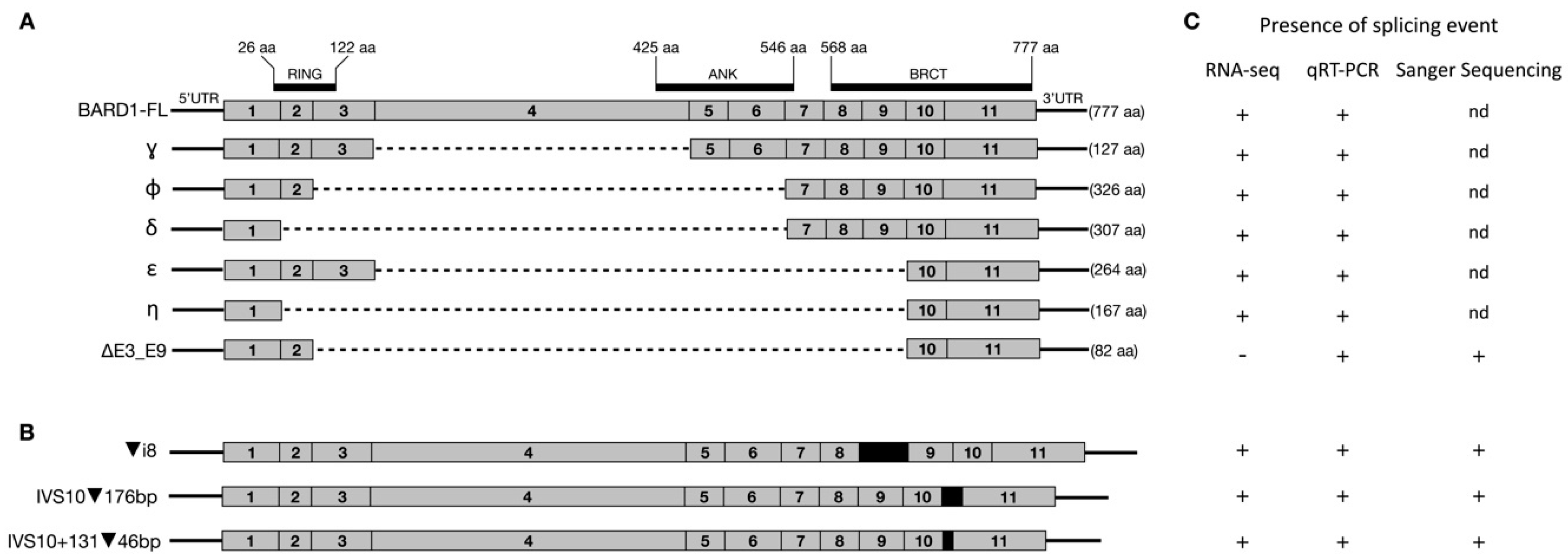 Genes 12 00320 g001 Genes 12 00320 g001
