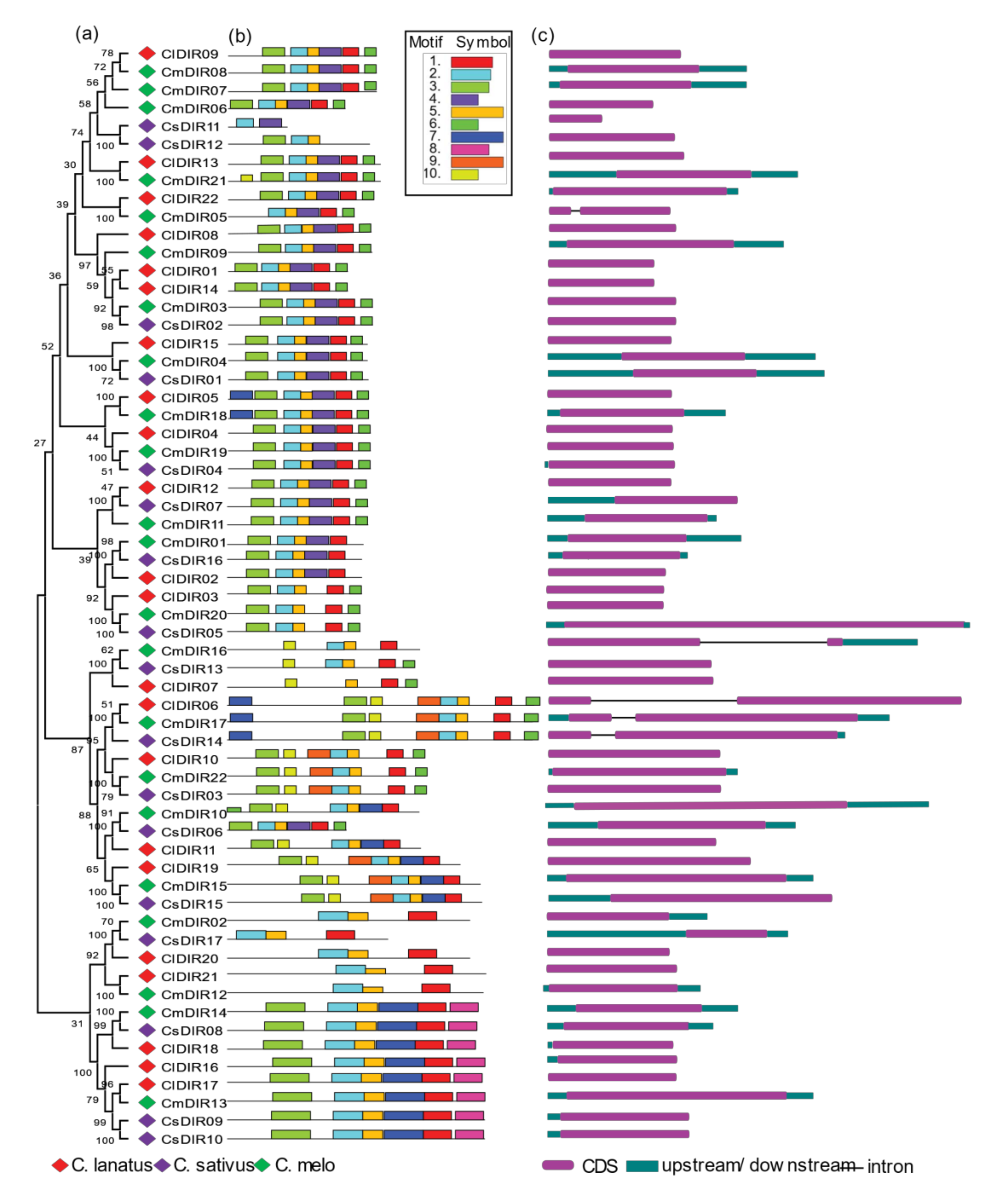 Genes 12 00326 g002 Genes 12 00326 g002
