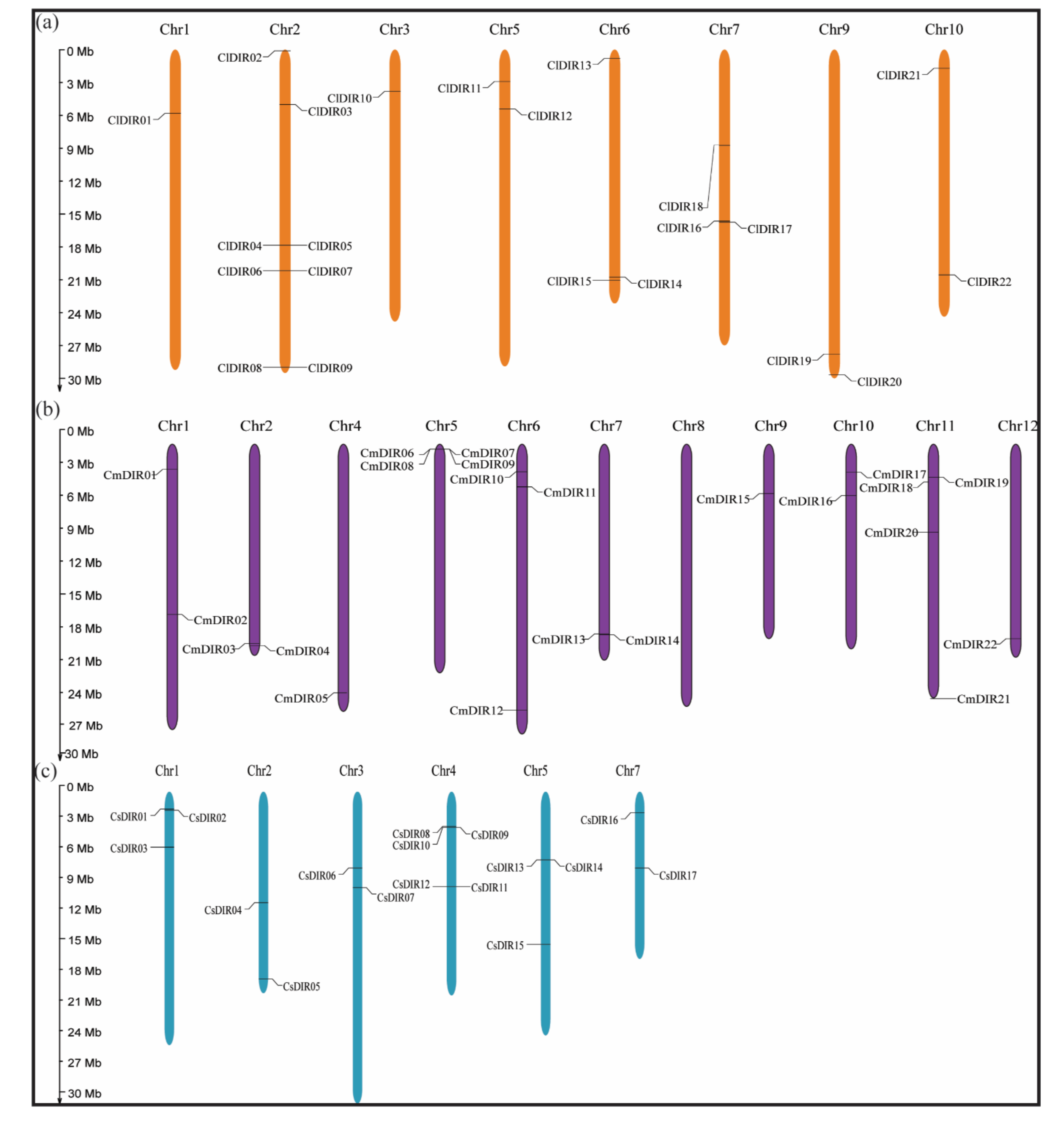 Genes 12 00326 g005 Genes 12 00326 g005