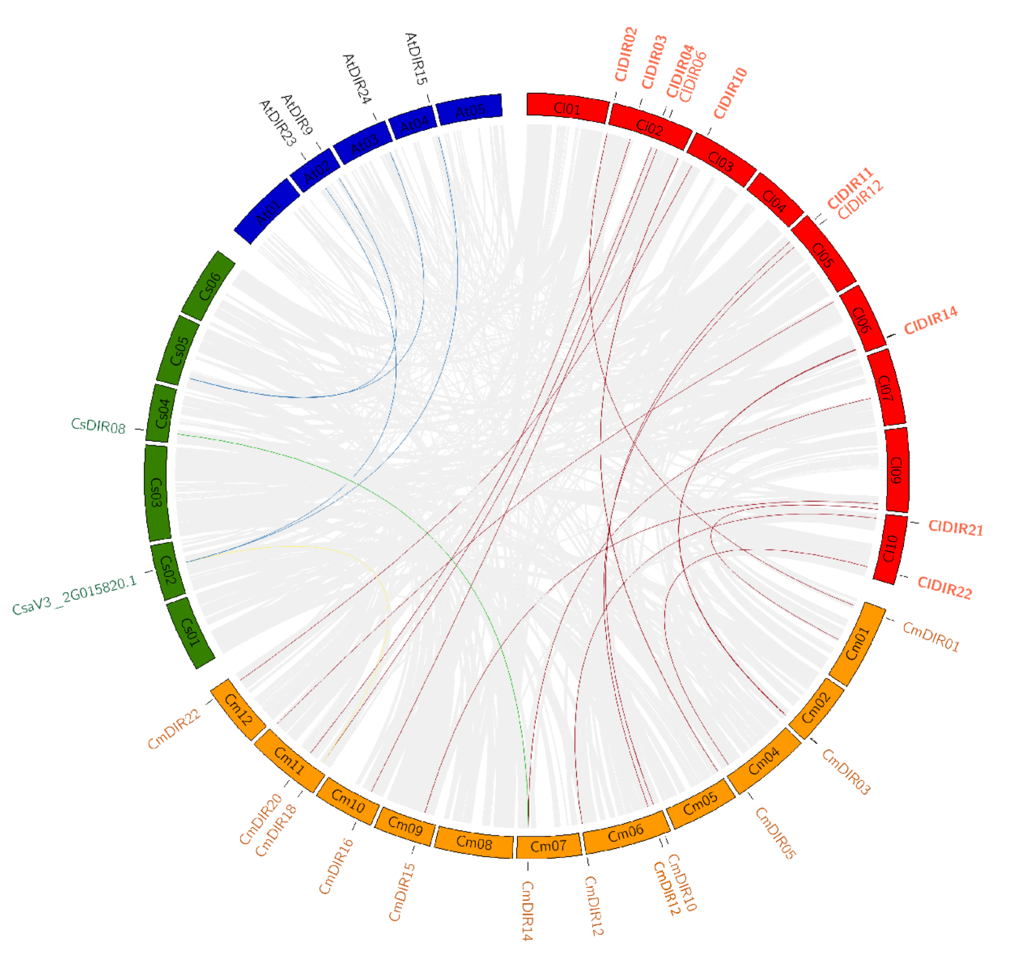 Genes 12 00326 g006 Genes 12 00326 g006