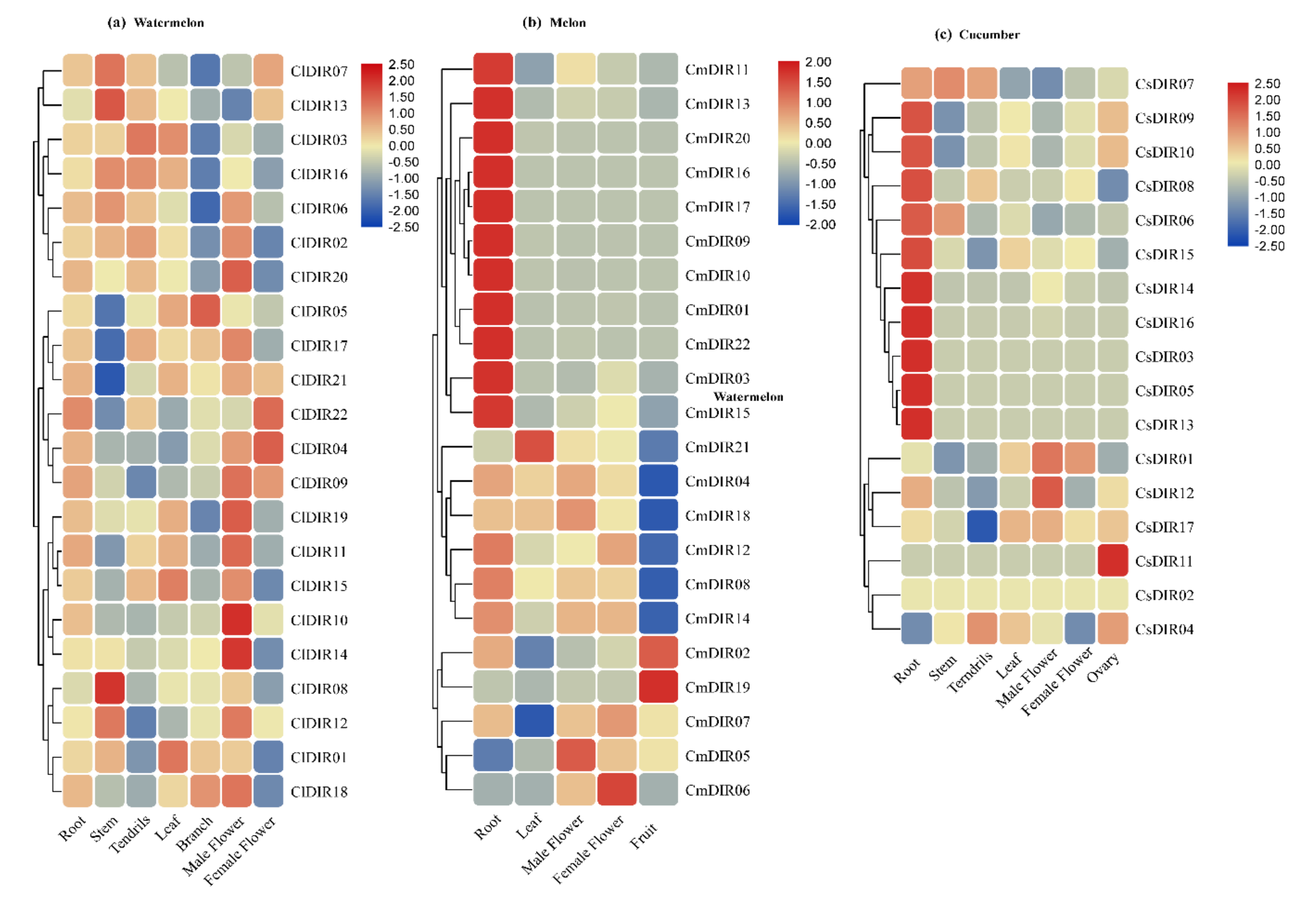 Genes 12 00326 g007 Genes 12 00326 g007