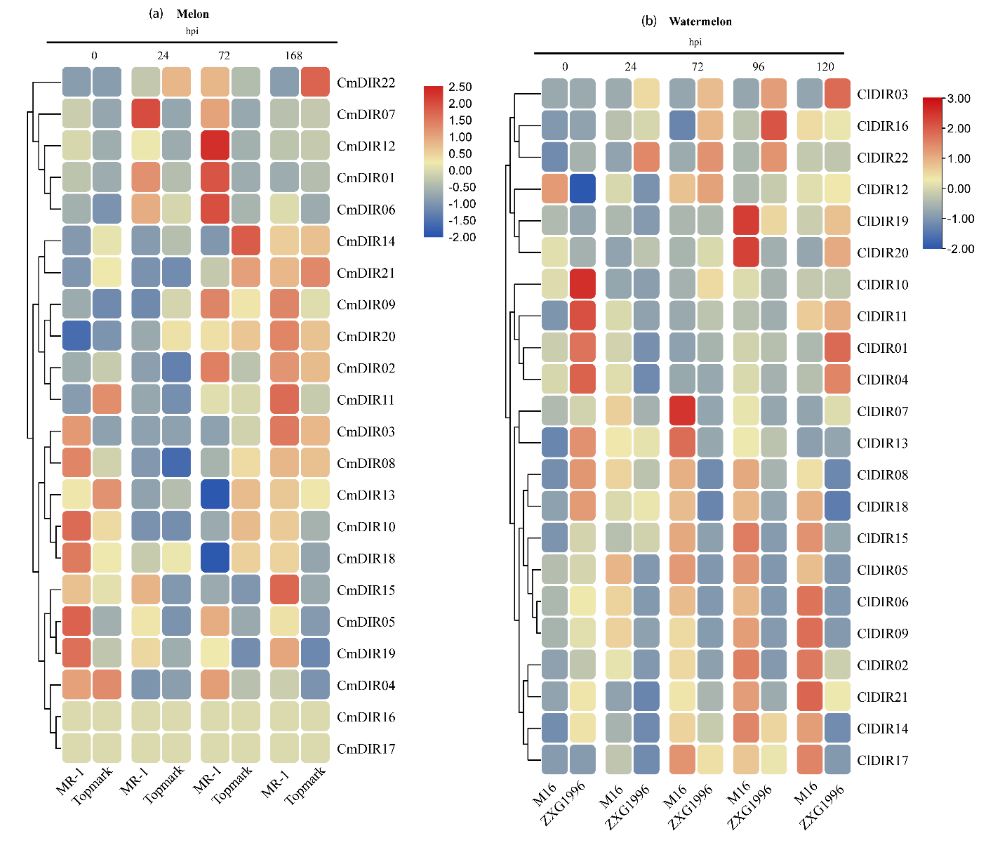 Genes 12 00326 g008 Genes 12 00326 g008
