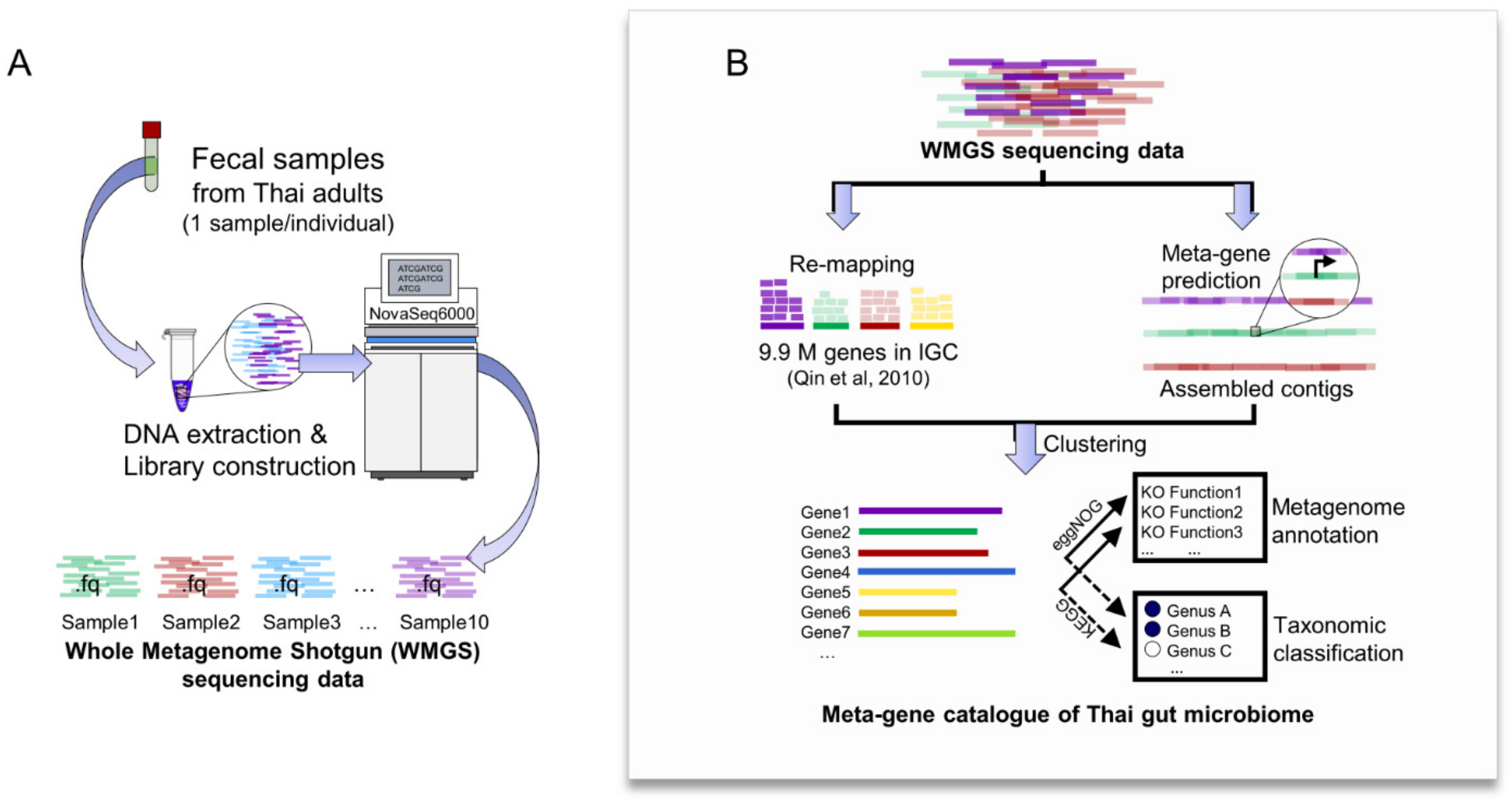 Genes 12 00331 g002 Genes 12 00331 g002