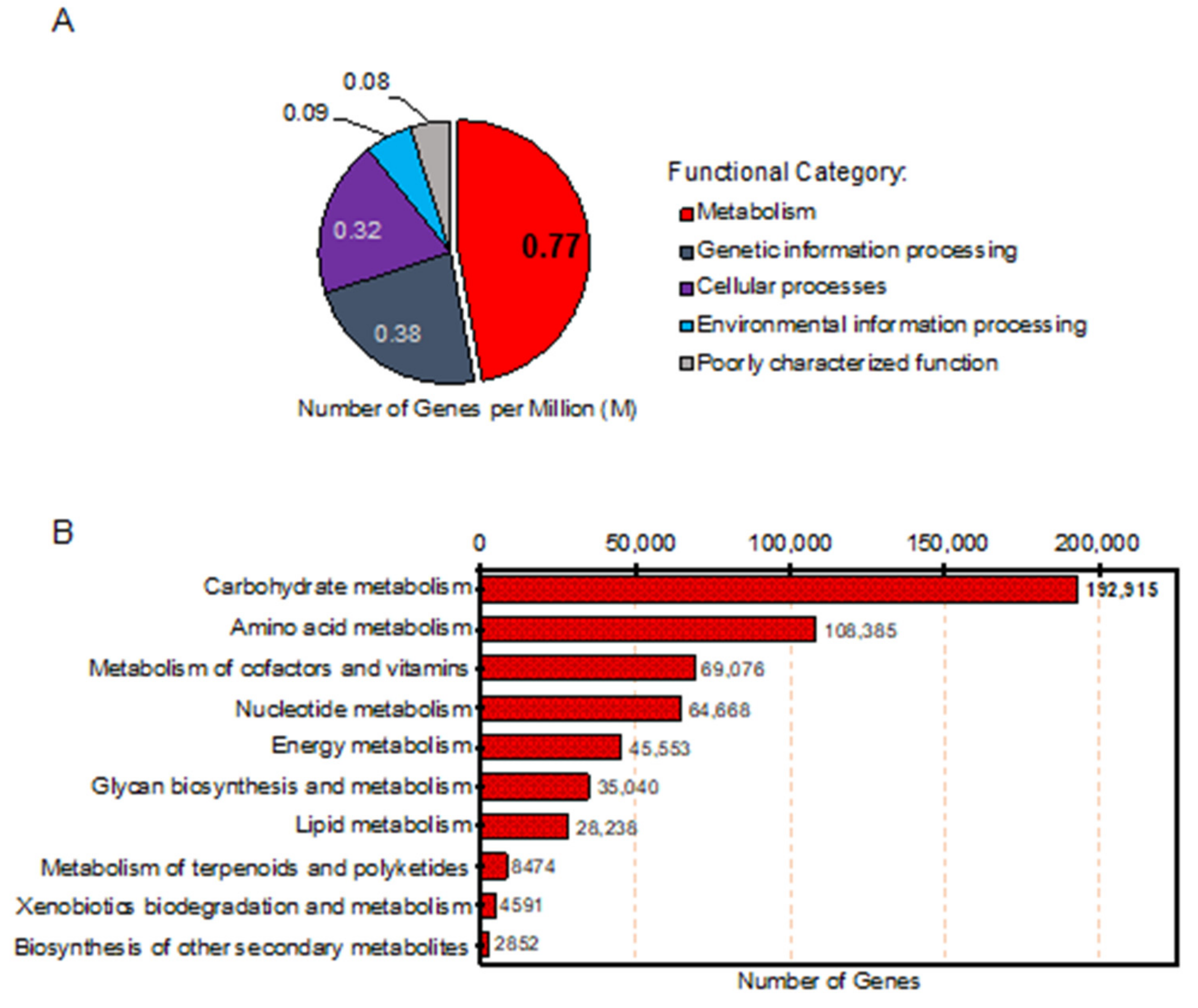 Genes 12 00331 g003 Genes 12 00331 g003