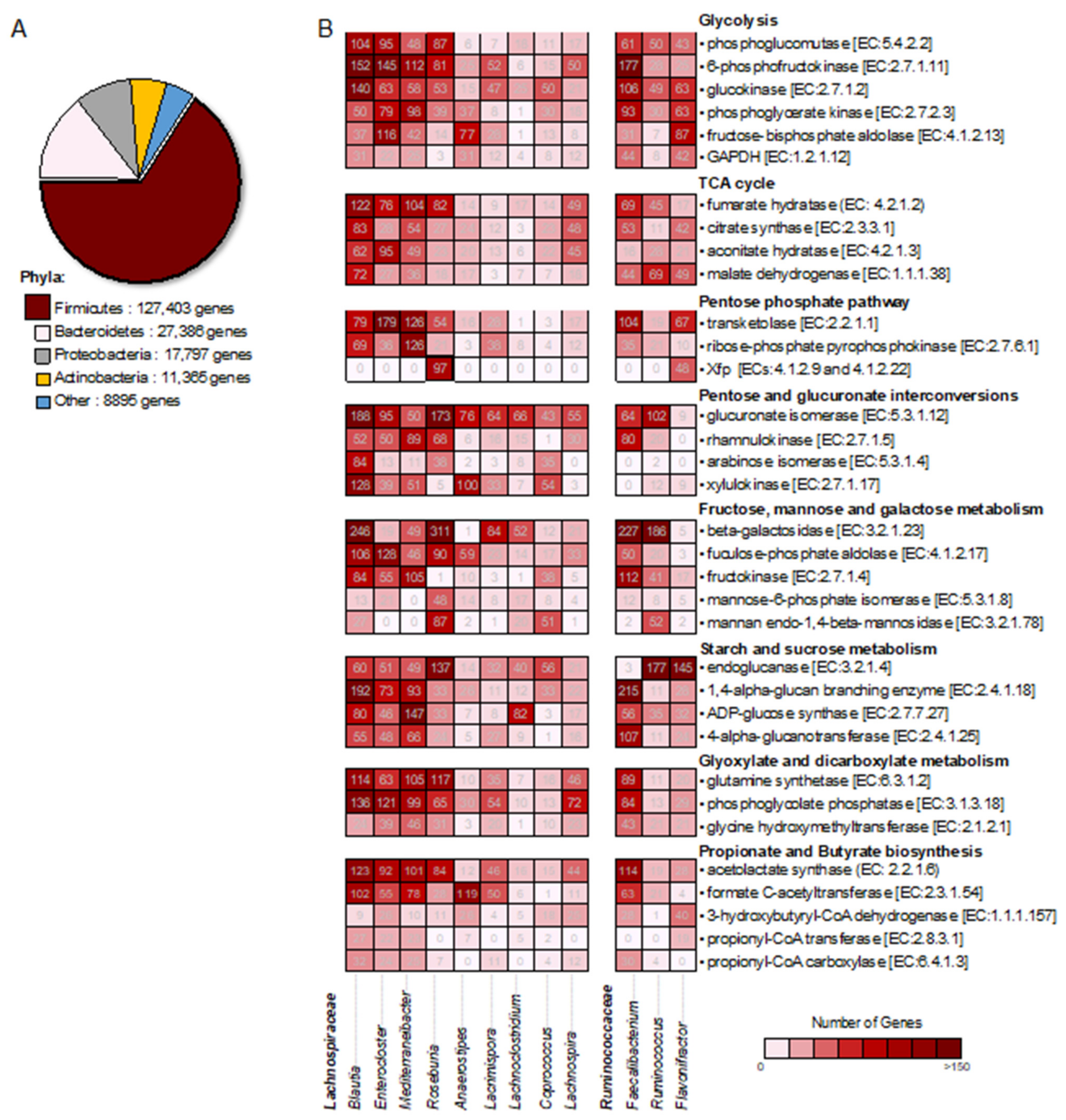 Genes 12 00331 g004 Genes 12 00331 g004