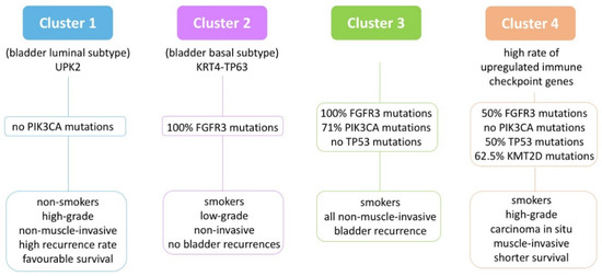 Current Knowledge on Genomic Profiling of Upper Tract Urothelial Carcinoma
