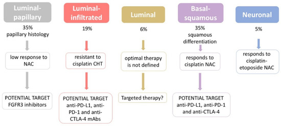 Current Knowledge on Genomic Profiling of Upper Tract Urothelial Carcinoma