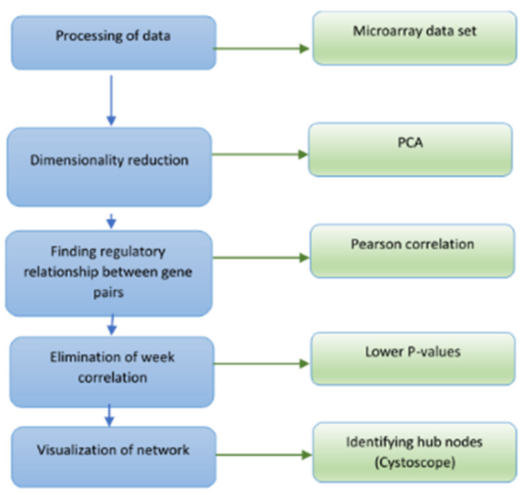 Genes 12 00337 g001 Genes 12 00337 g001