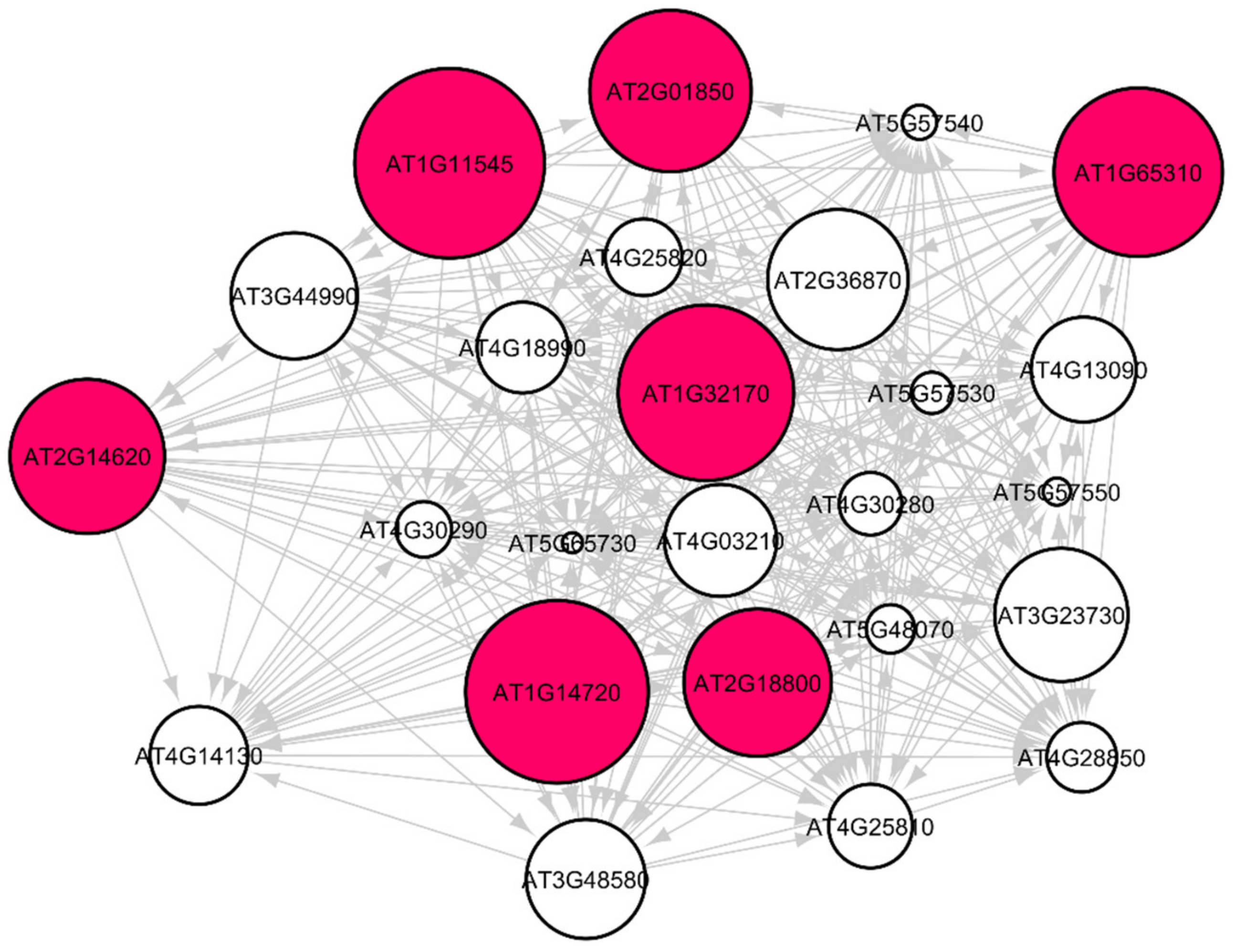 Genes 12 00337 g007 Genes 12 00337 g007