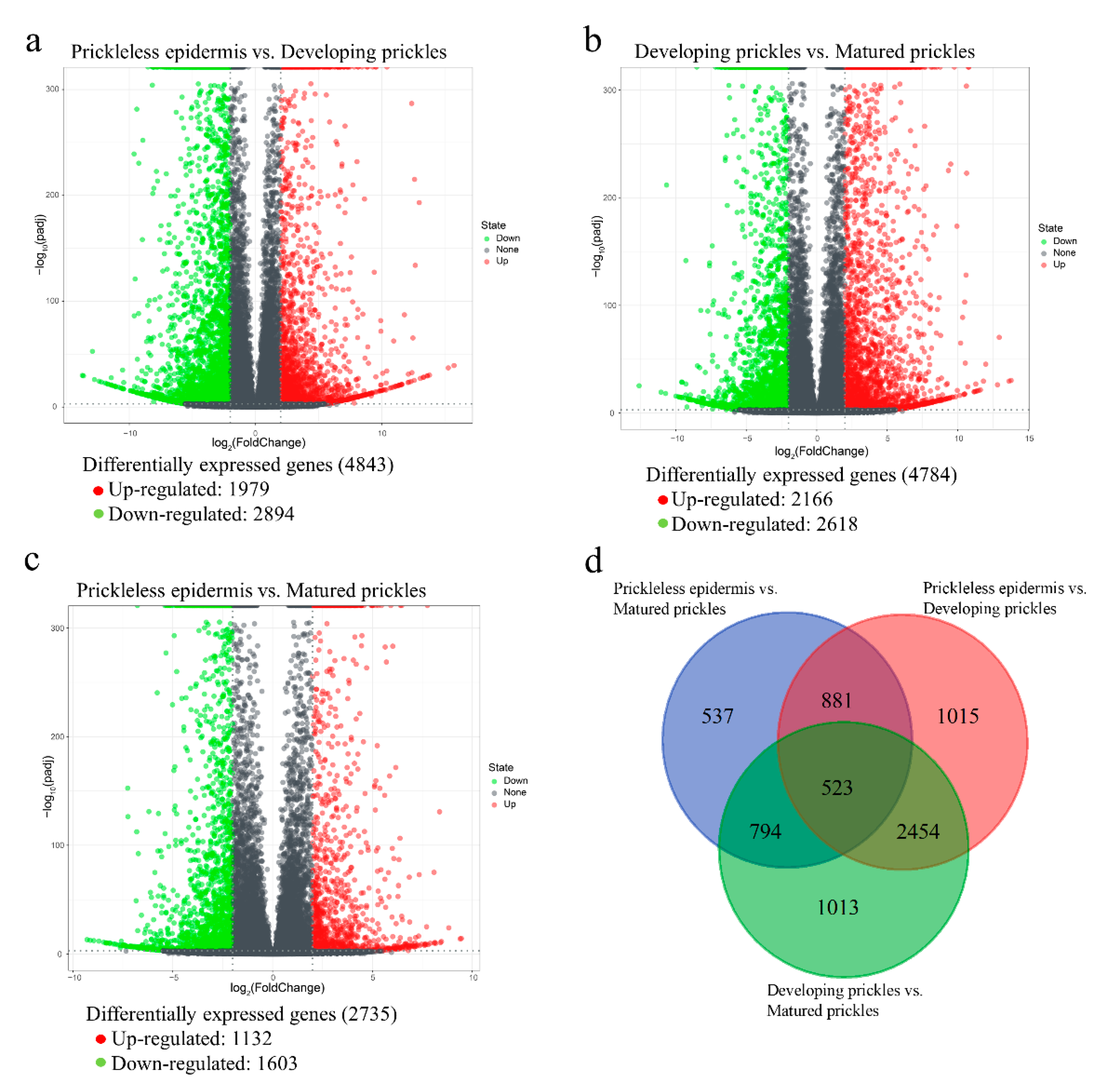 Genes 12 00341 g003 Genes 12 00341 g003