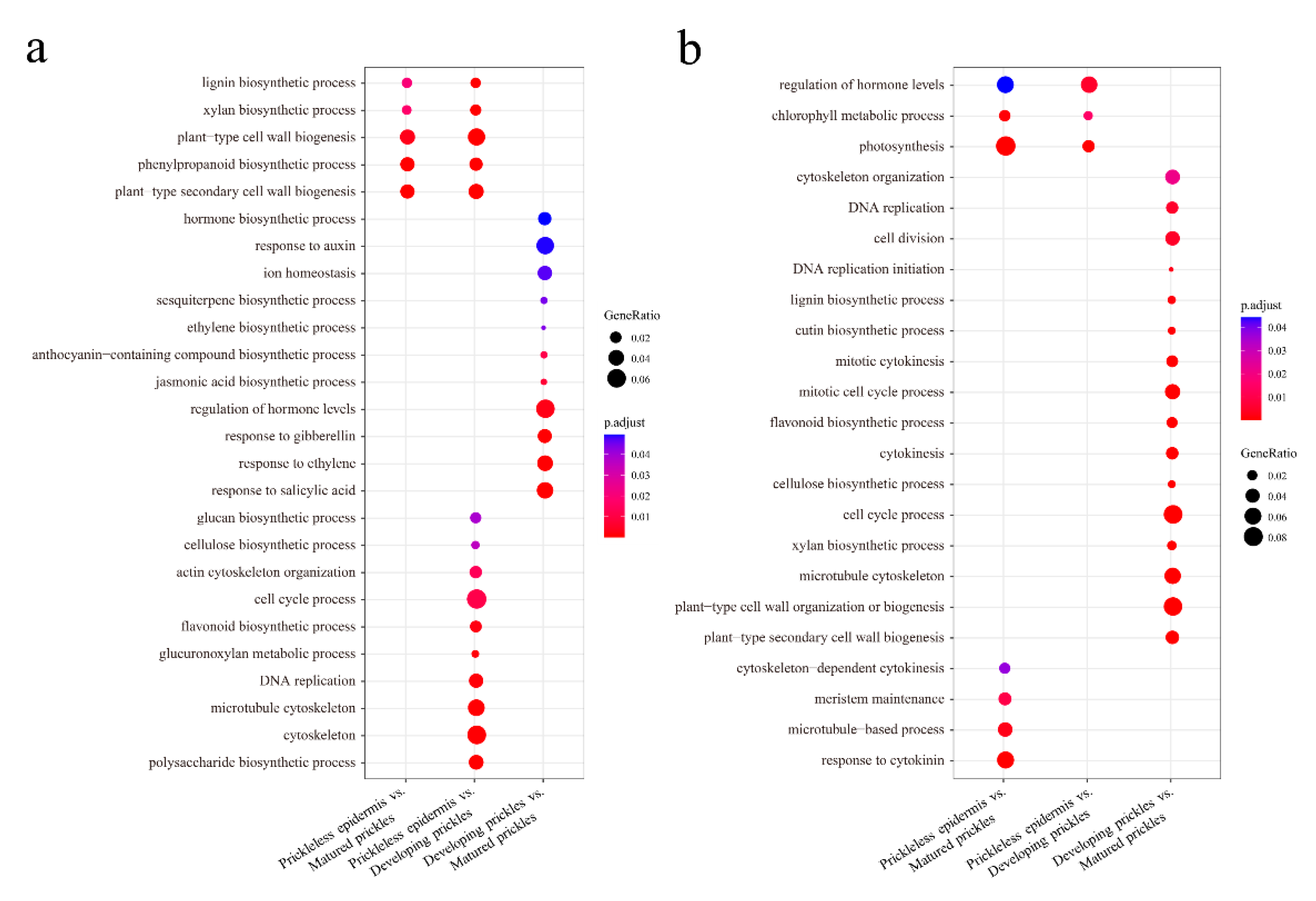 Genes 12 00341 g004 Genes 12 00341 g004
