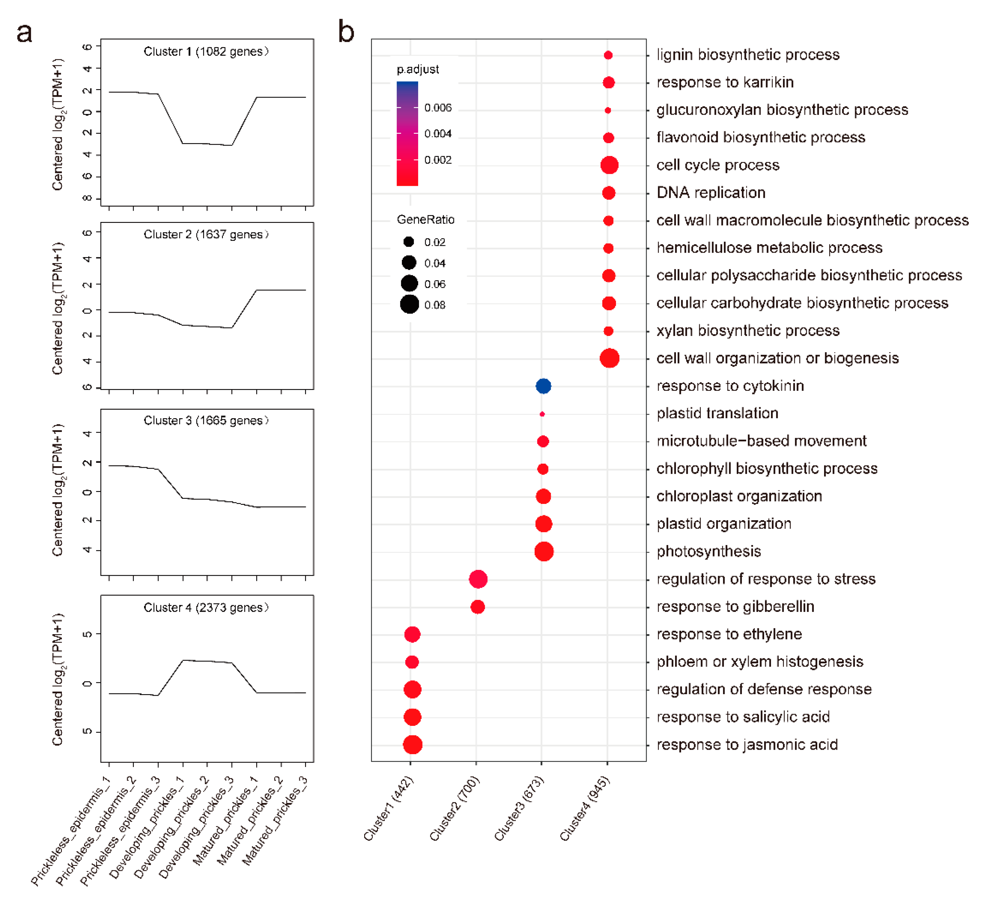 Genes 12 00341 g005 Genes 12 00341 g005