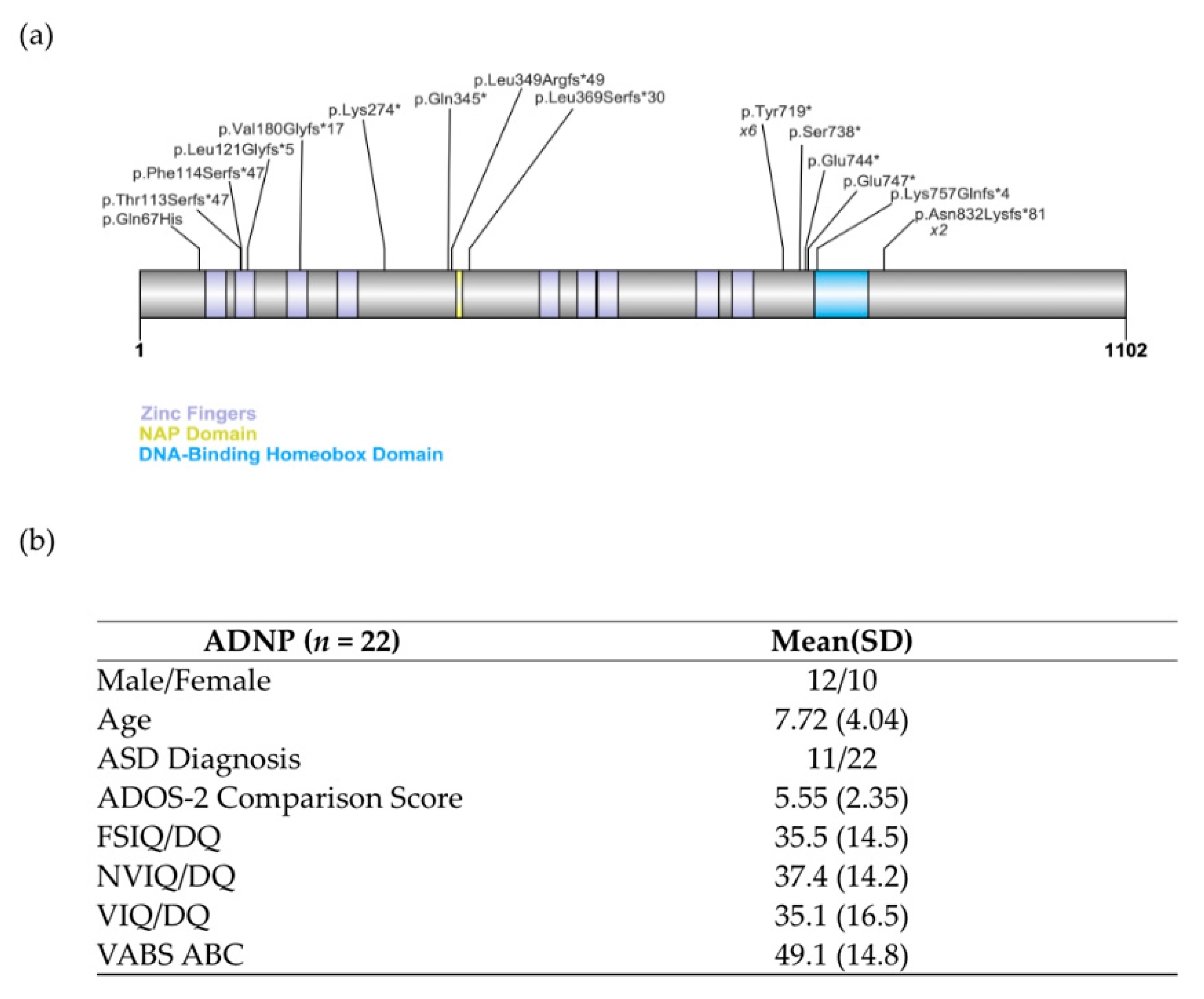 Genes 12 00351 g001